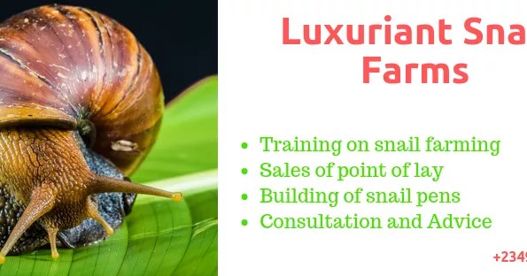Luxuriant Farms Ltd - WHAT IS HELICULTURE? Heliculture ( Scientific ...