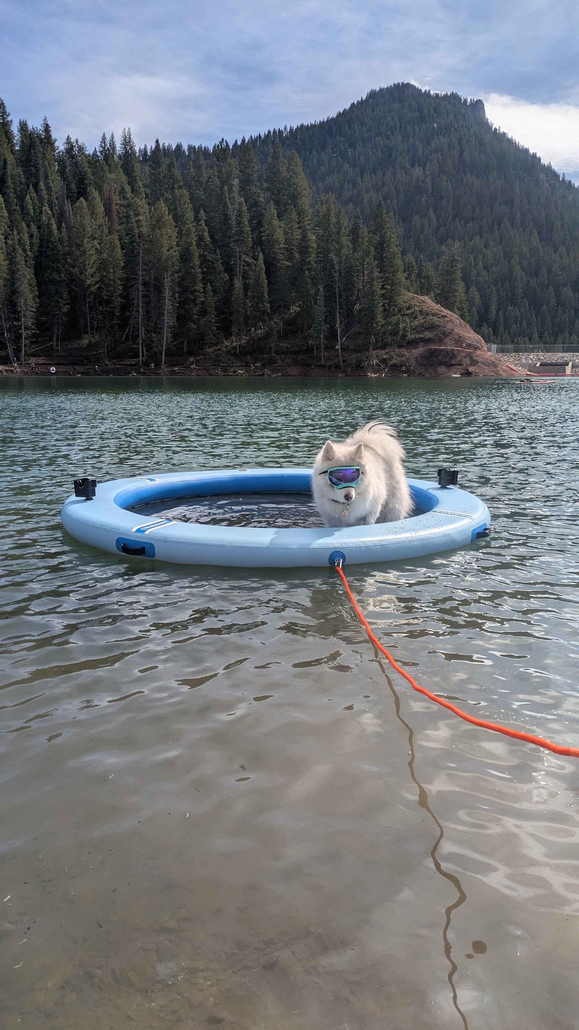 Pool Floats for sale in Murray, Utah | Facebook Marketplace