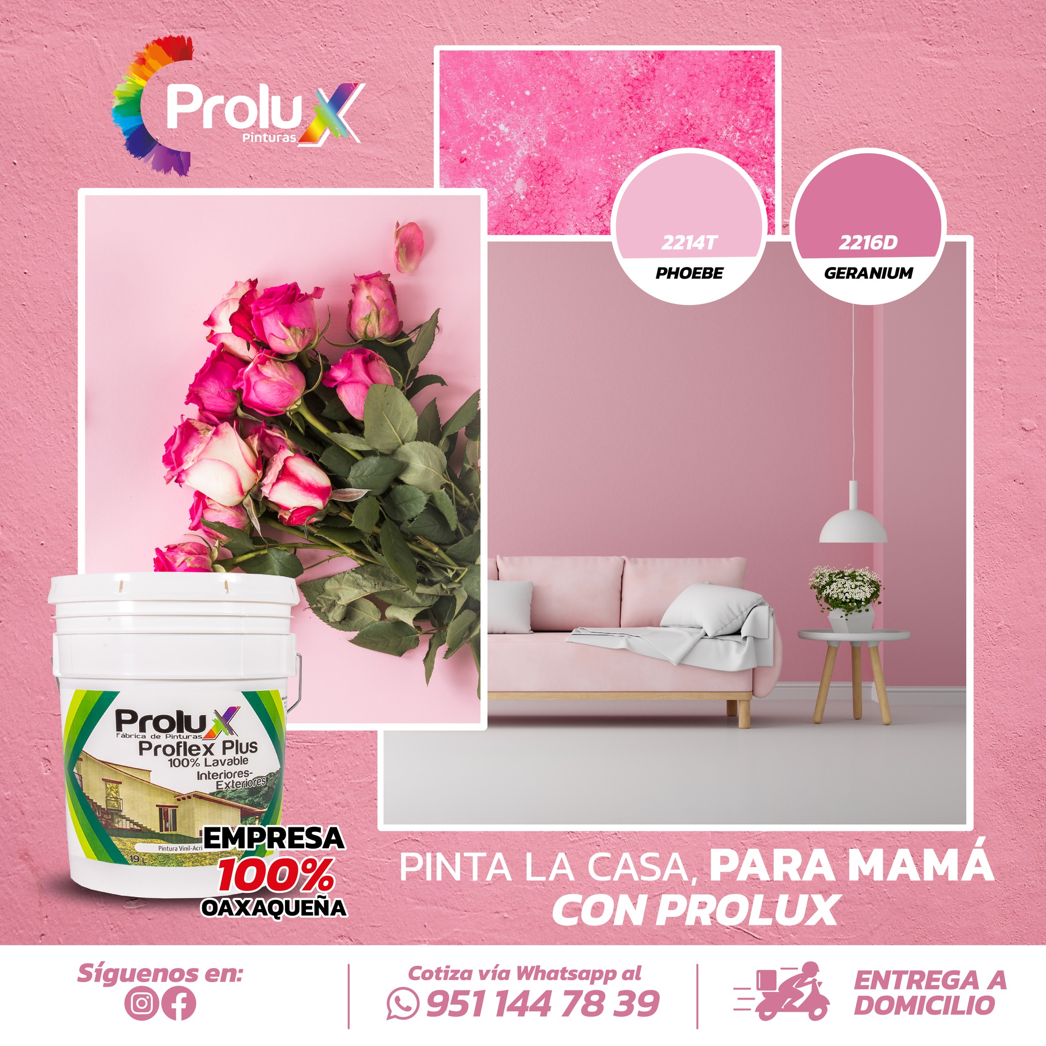 Pinturas - 
