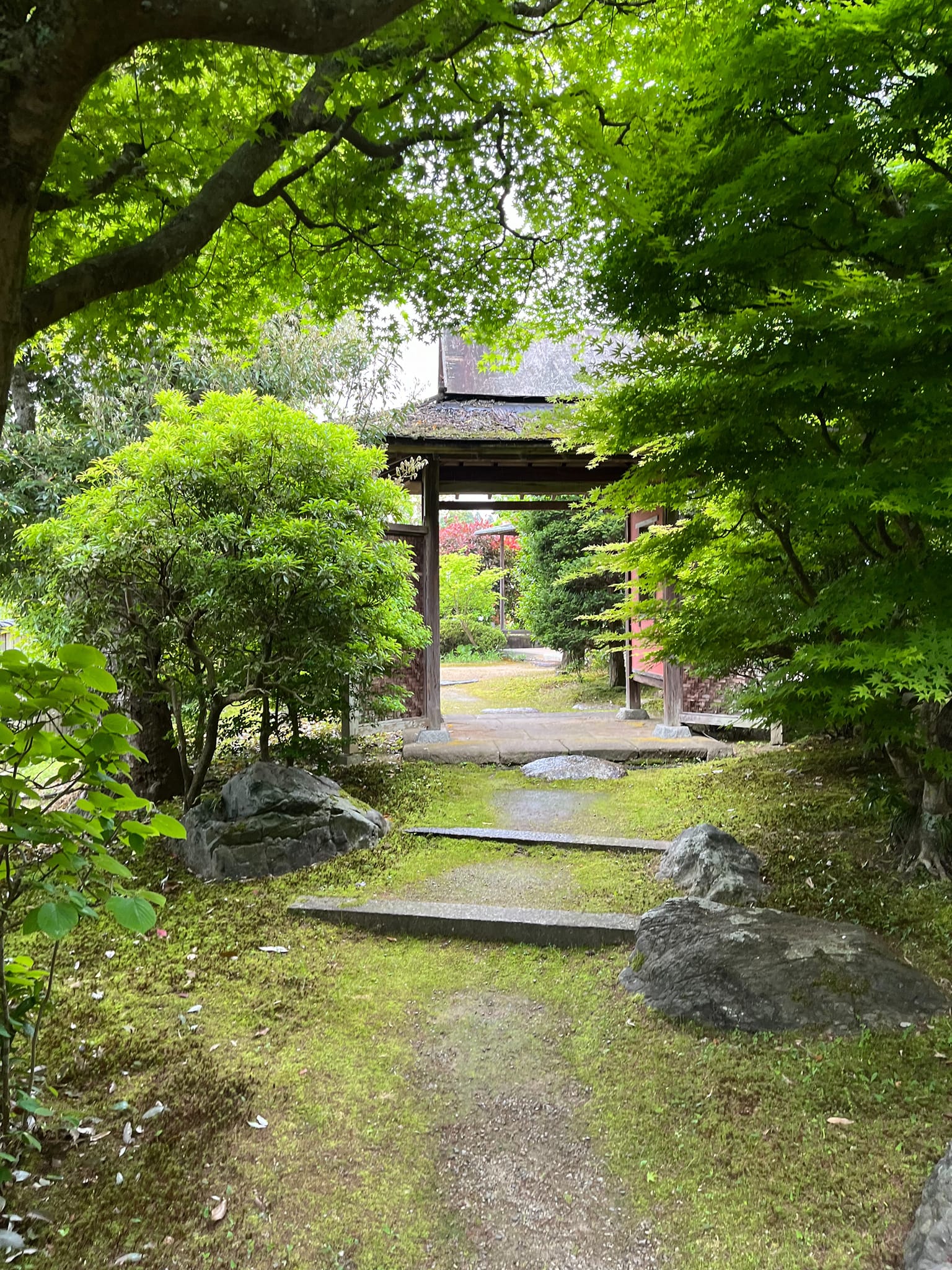 楽山釜 楽山釜 楽山釜 楽山釜 出雲焼楽山窯 長岡空郷 Rakuzan Nagaoka