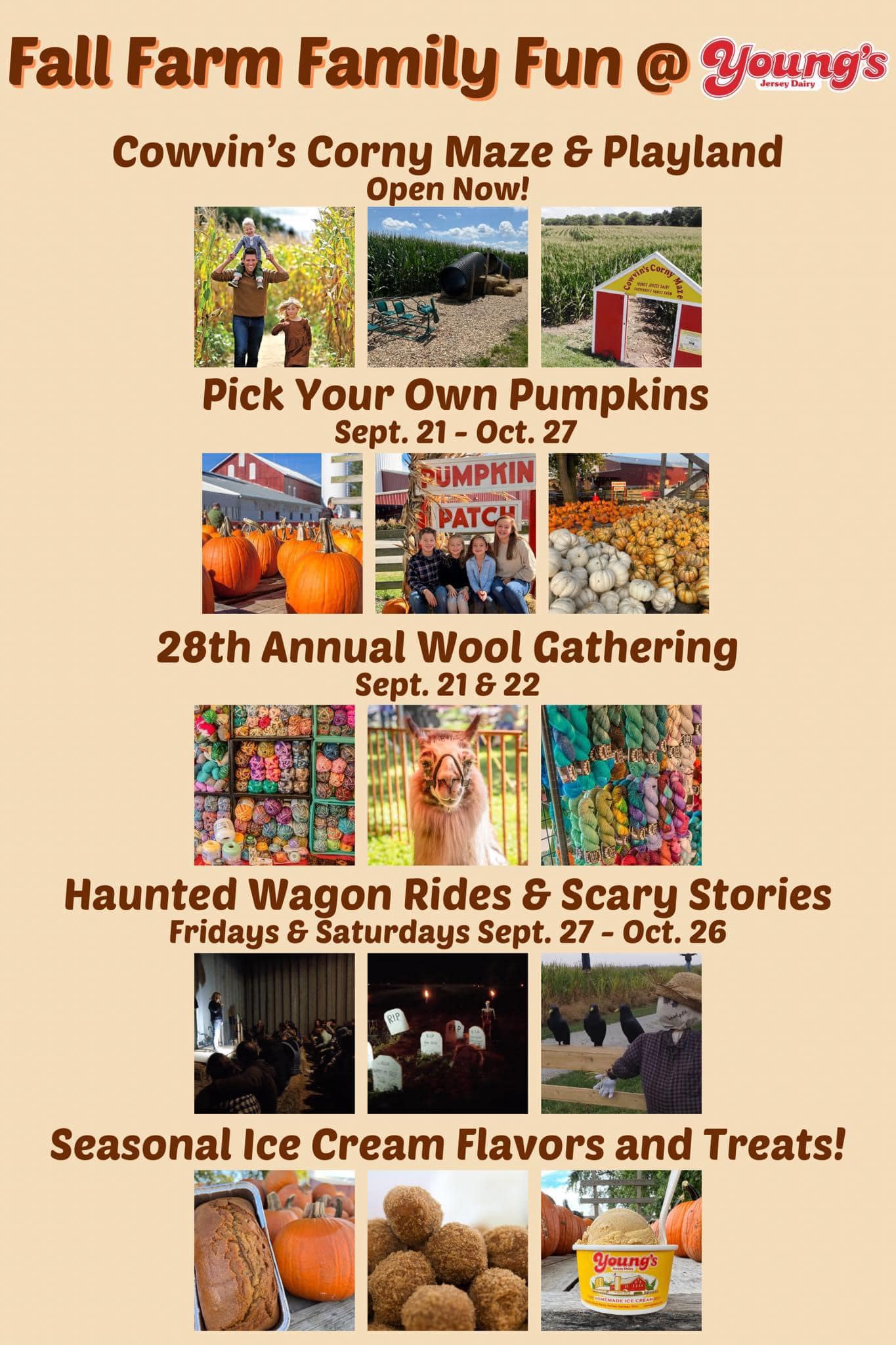 Lots of fall fun kicking off this... - Young's Jersey Dairy