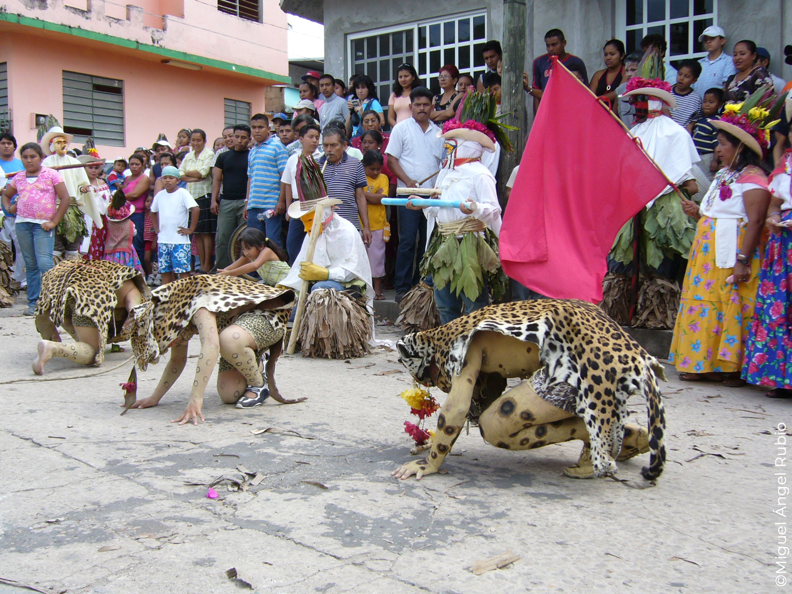 Sacred Mushroom Rituals: The Search for the Blood of Quetzalcoatl