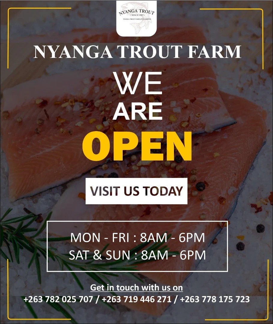 Nyanga Trout | Nyanga