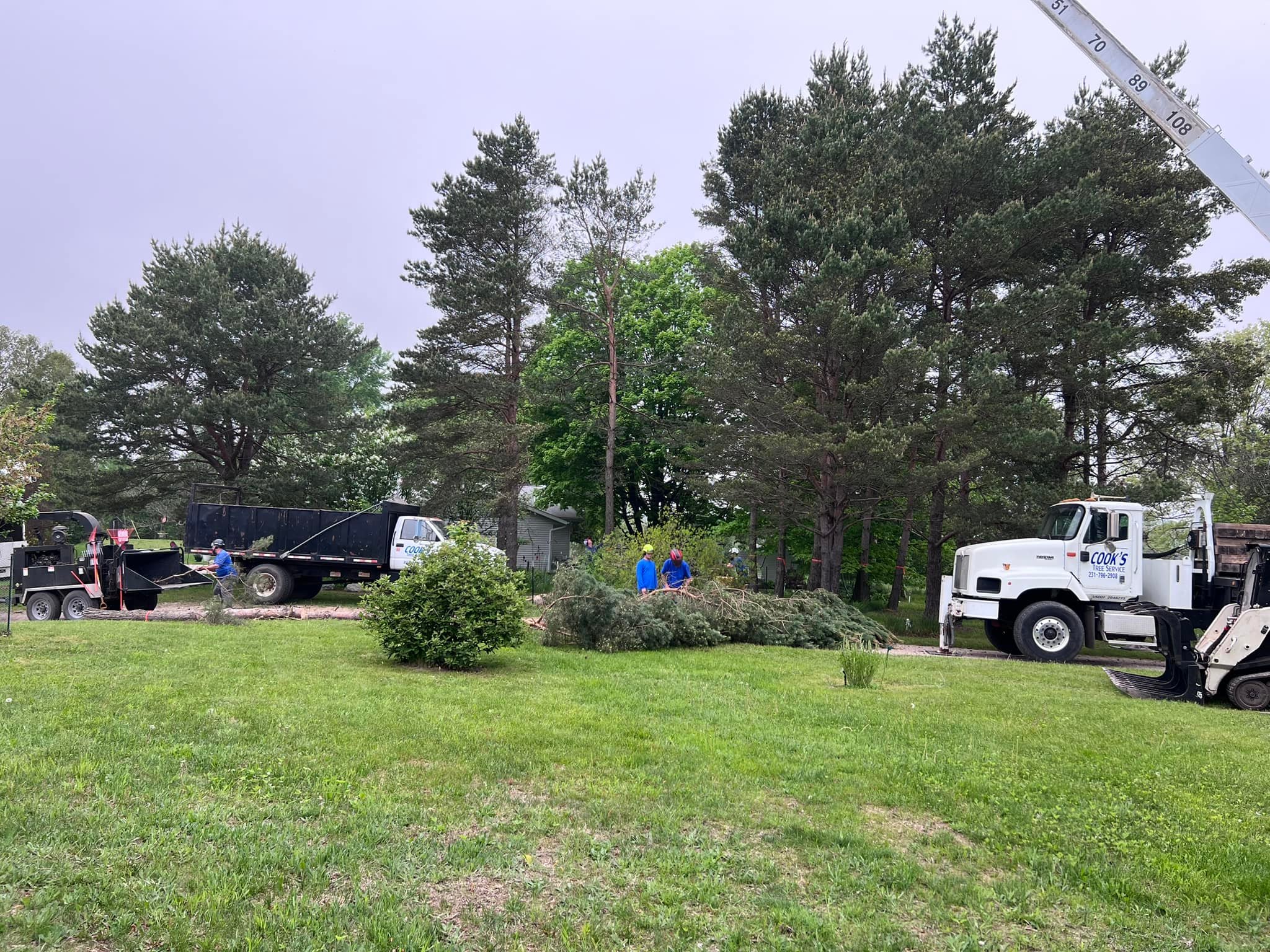 Cook's Tree Service LLC | Mecosta MI