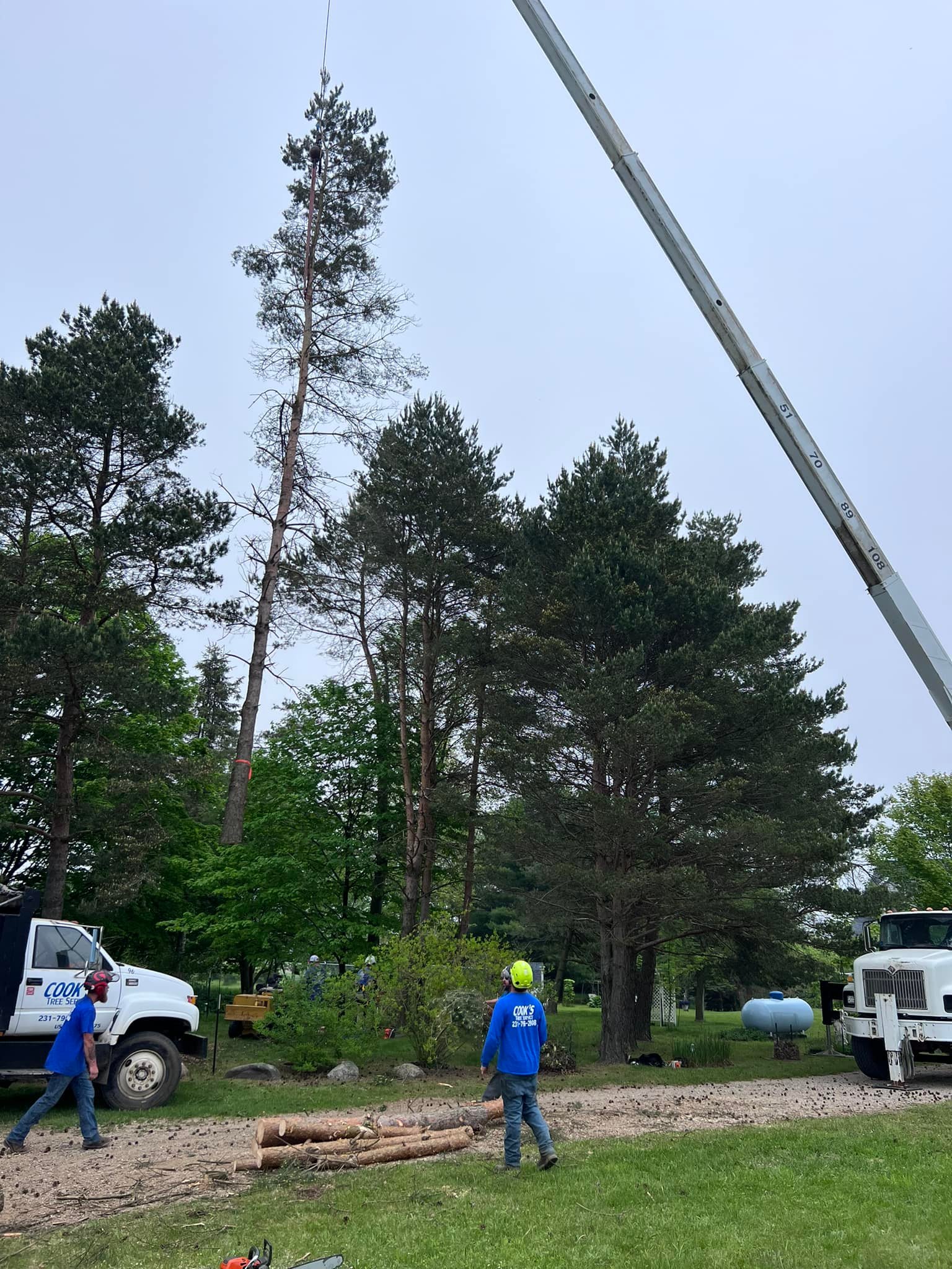 Cook's Tree Service LLC | Mecosta MI