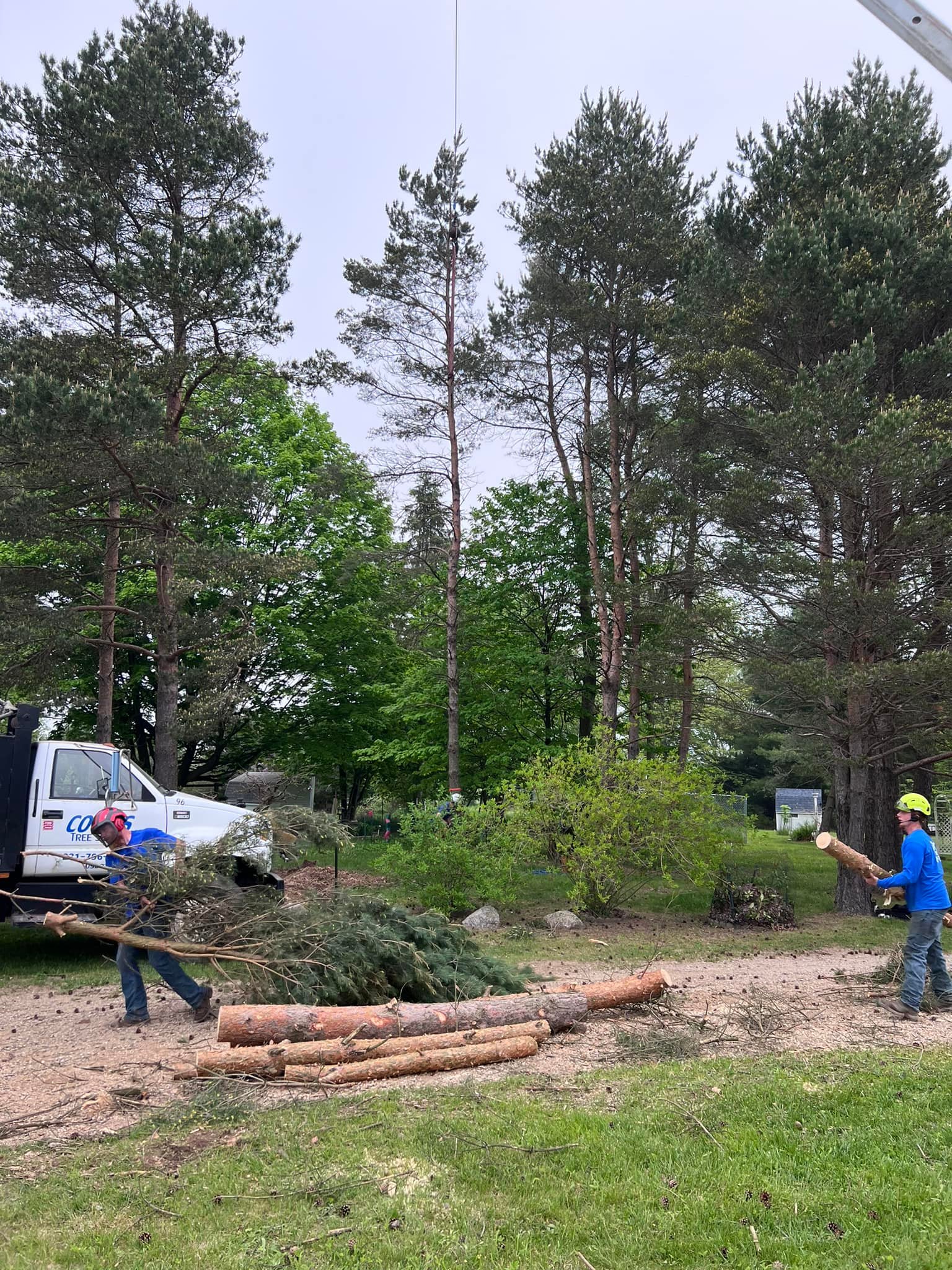 Cook's Tree Service LLC | Mecosta MI