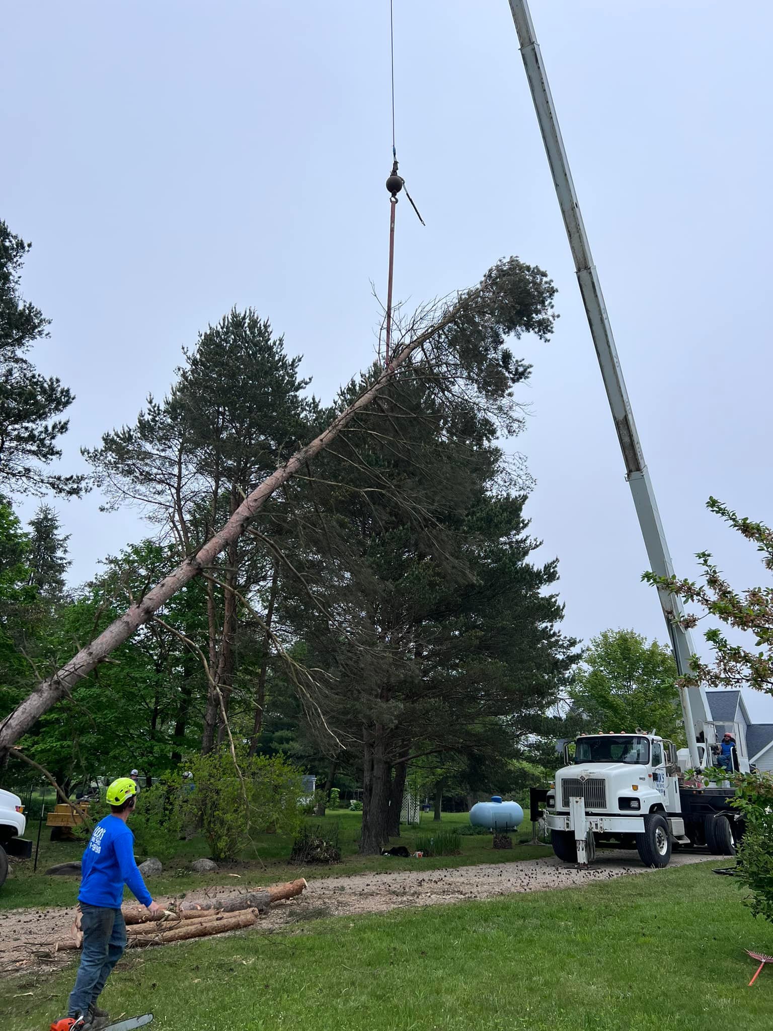 Cook's Tree Service LLC | Mecosta MI