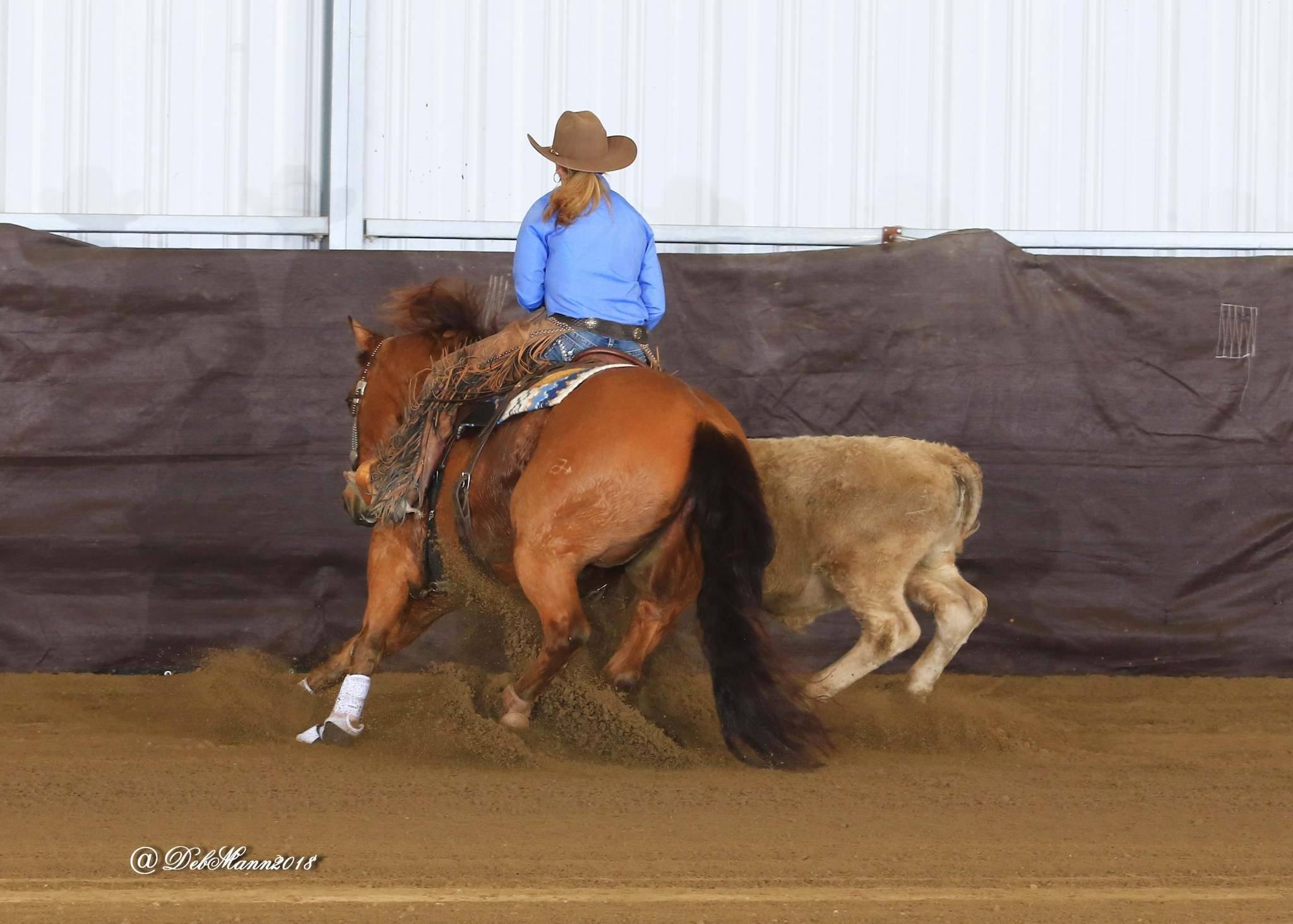 Here are some great photos of... - International Agri-Center