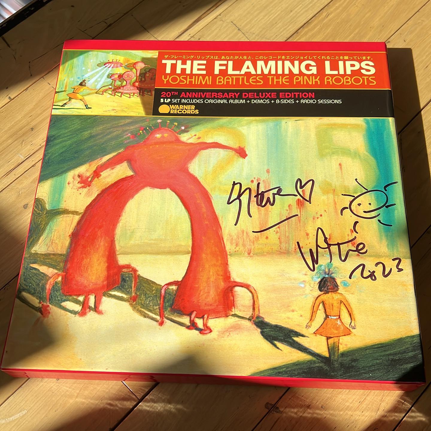 Limited pressings of the Yoshimi Battles The Pink Robots picture
