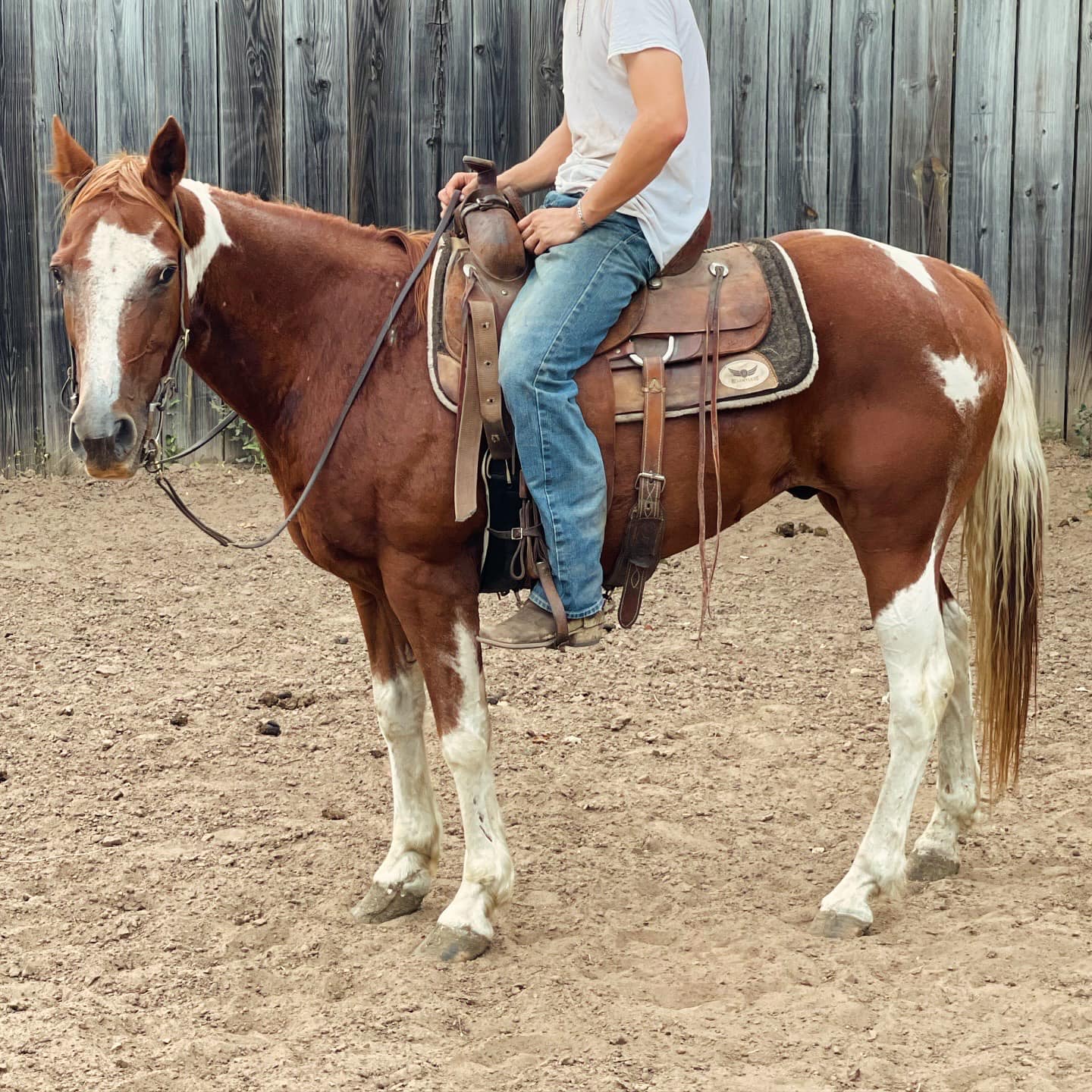 Rockin’ G Ranch Horses | Decatur TX