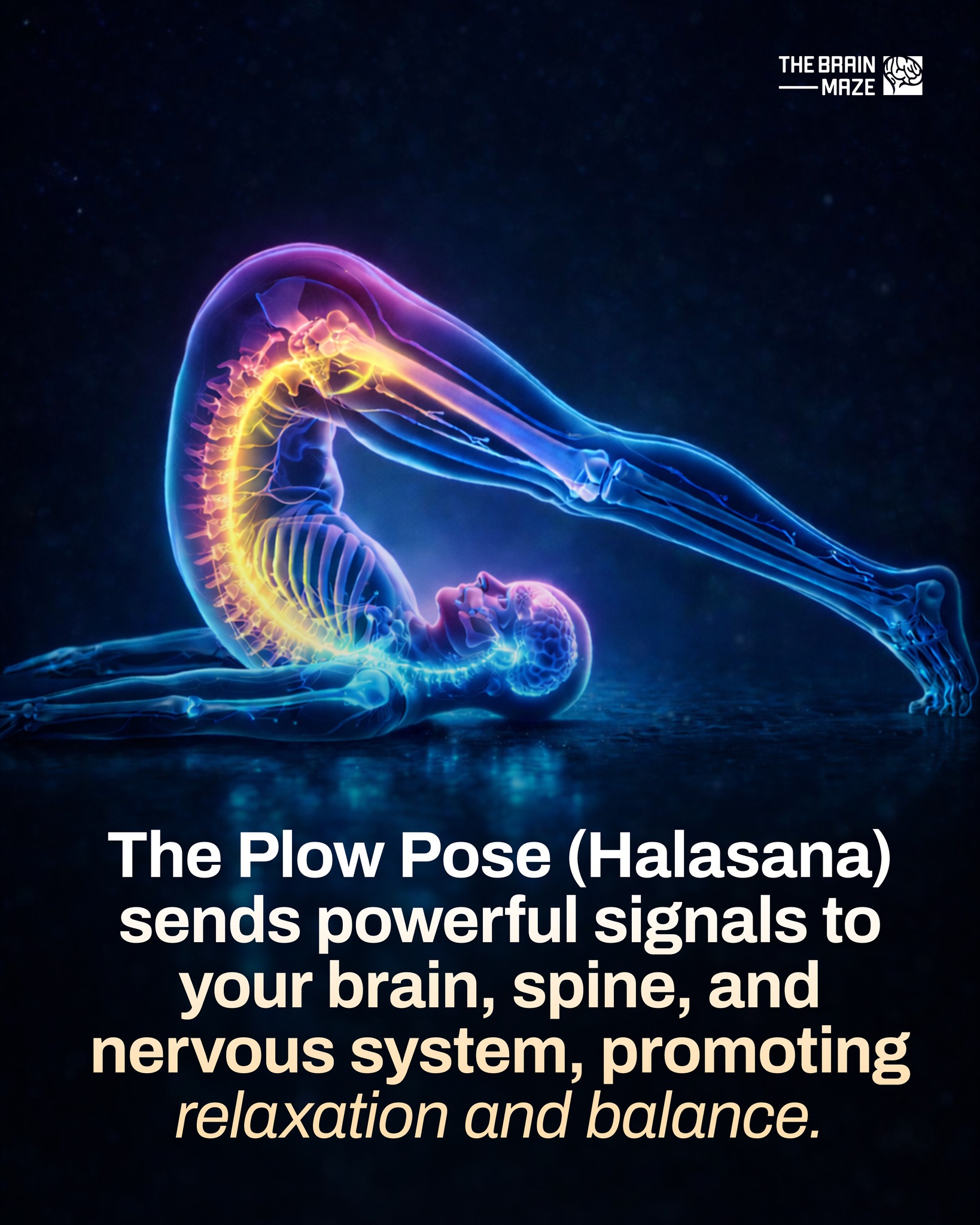 The Brain - Raising your legs against a wall, also known as Viparita ...