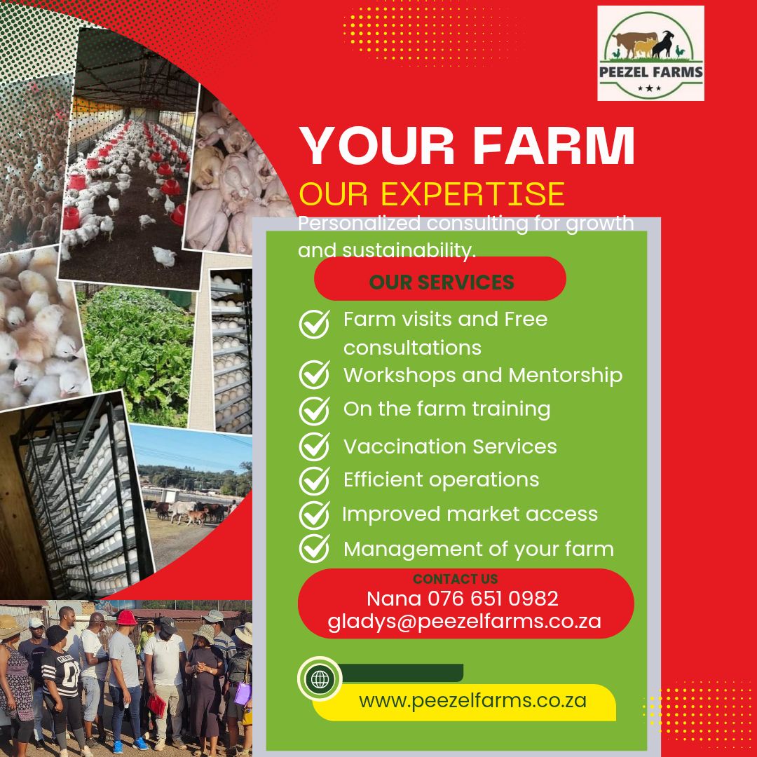 Peezel Farms 