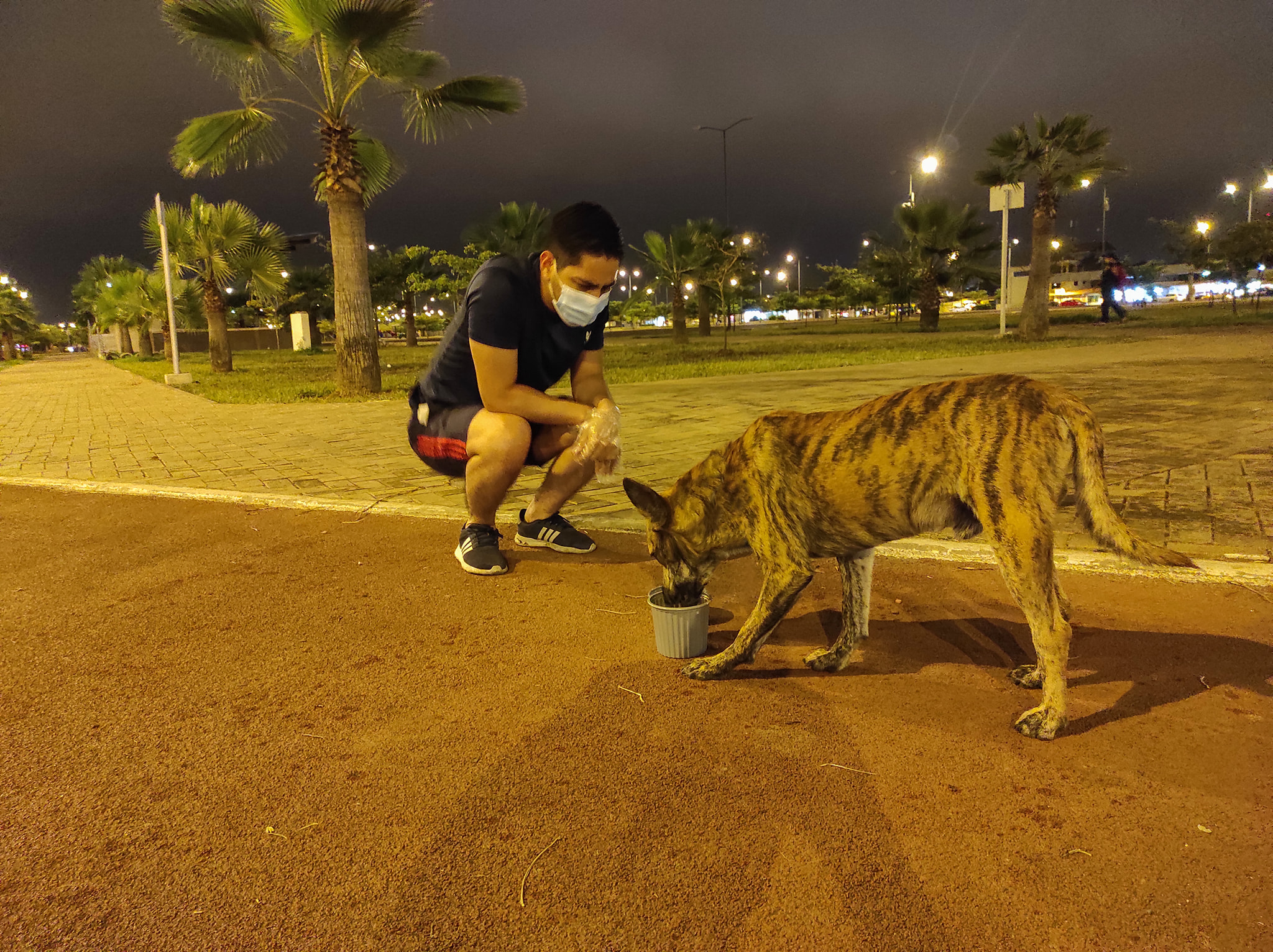 La noche de ayer recorrimos varias... - Michael Riofrio Ortiz | Facebook