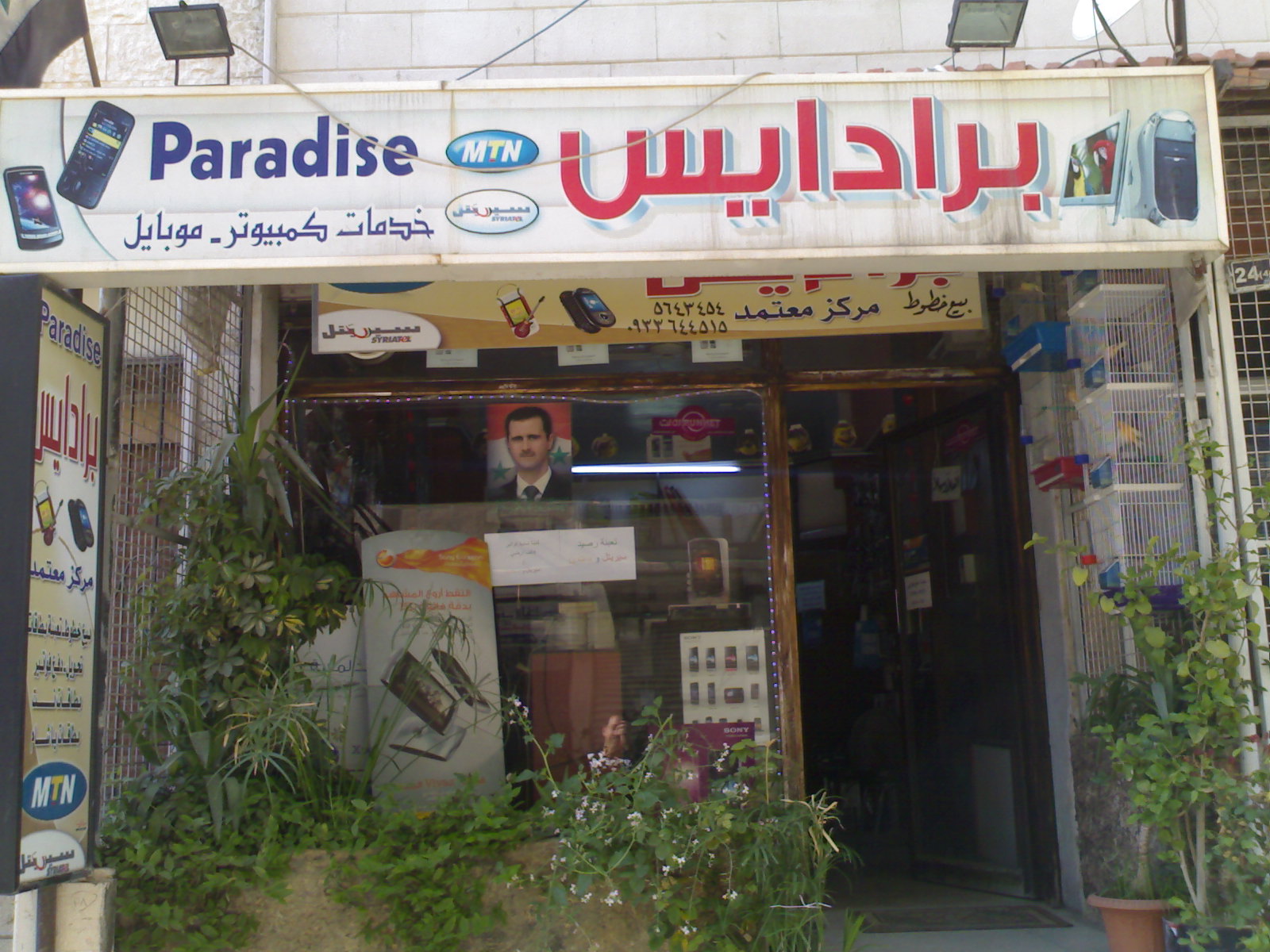 Paradise for mob & computer | Damascus
