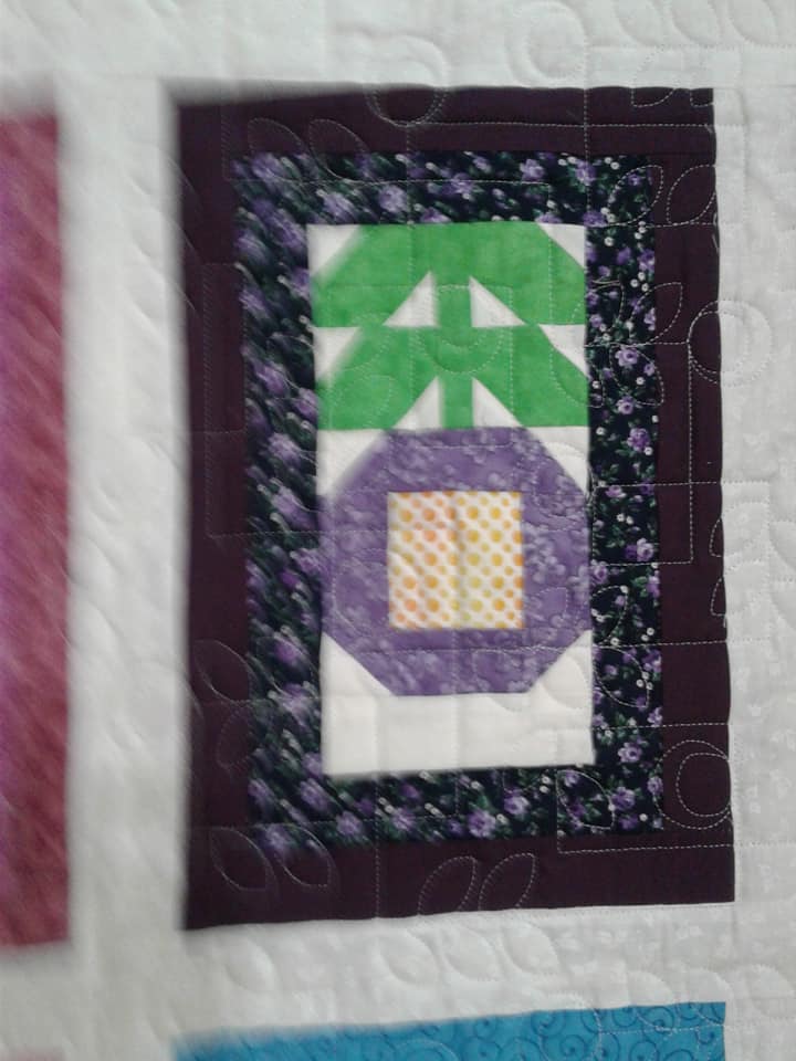 Ditsy Fish Quilt Shop Home Facebook