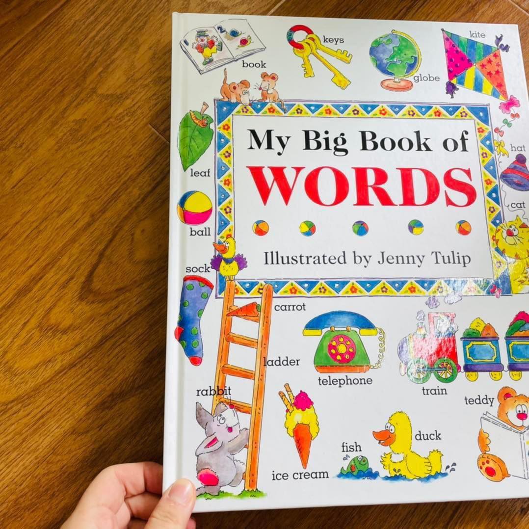 30% off My big book of words , Original price of 7.99 pound