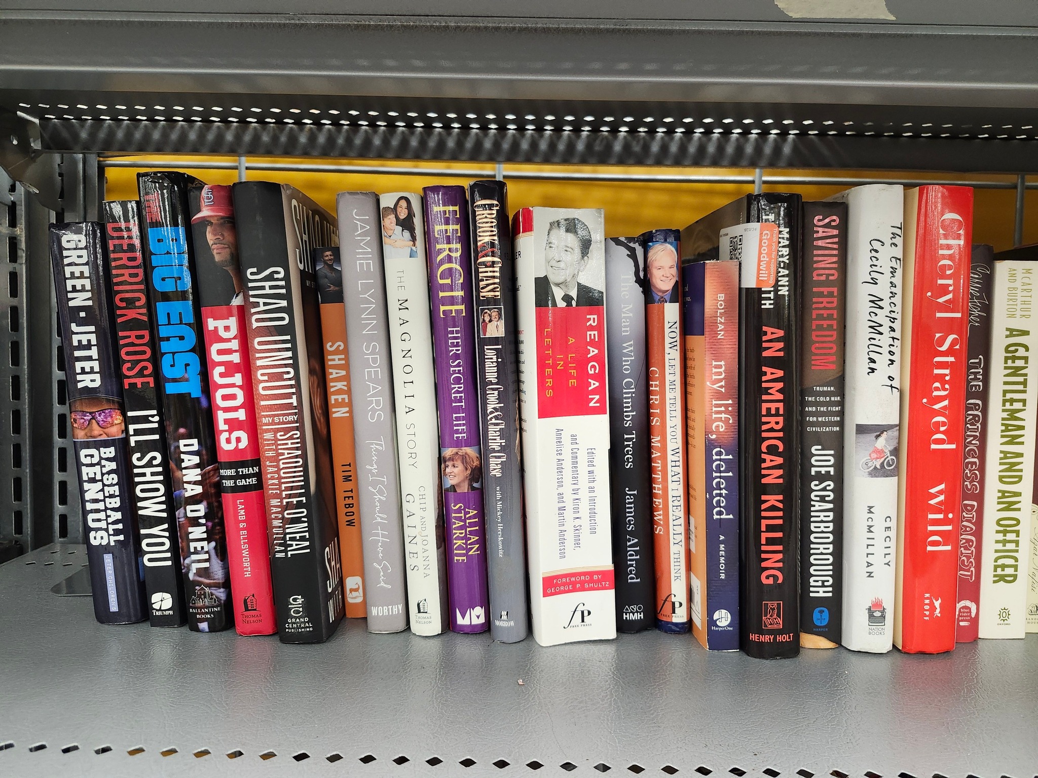 Good Will Finding - Any of these biographies sound like a good read ...