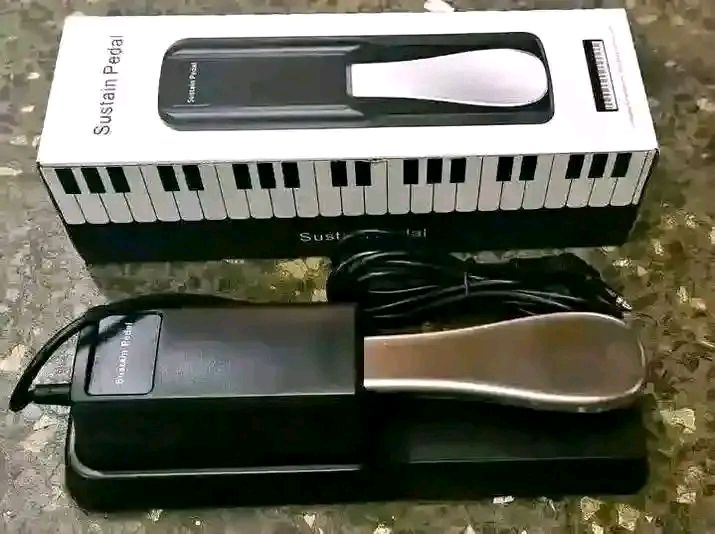 hall of fame 2 reverb pedal TC Electronic – Chicago Music Exchange Pedals:SR-P - 2 Pedal Garnrollen Organizer Atv Tinted Mx Goggles Packing the same powerful