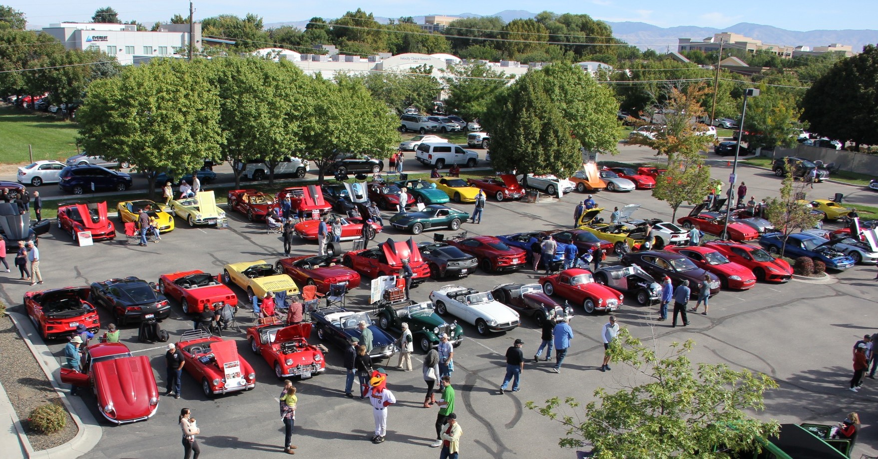 Blue Ribbon Rally Charity Car Show for Prostate Cancer Awareness