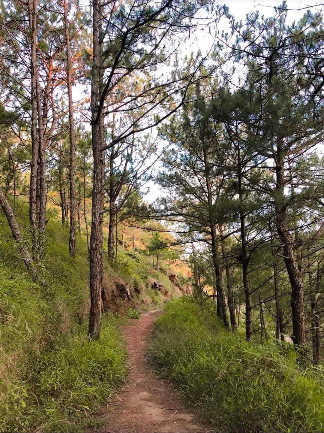 Camp Ragsak - The path to Warriors nest | Facebook