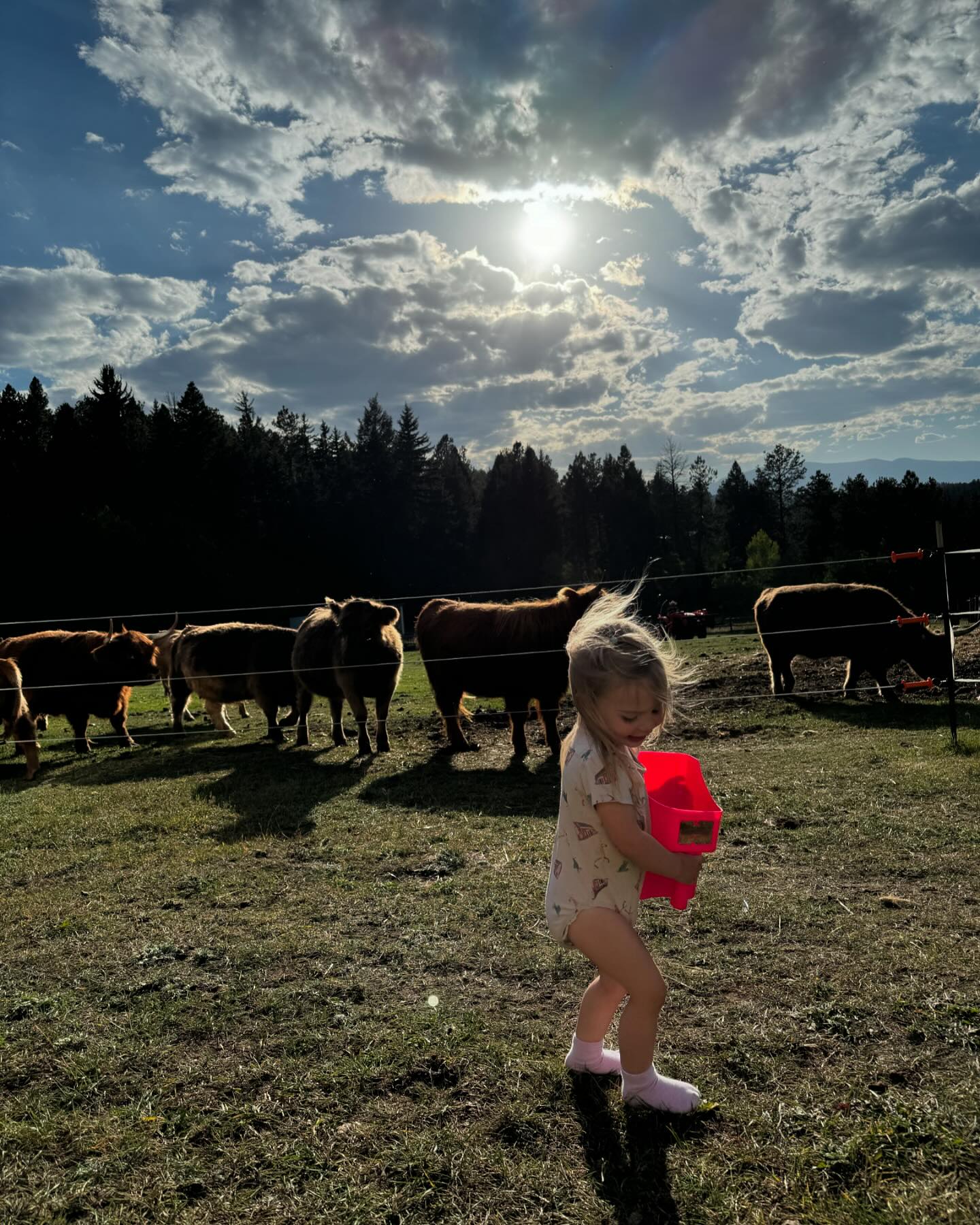 Wild Mountain Ranch