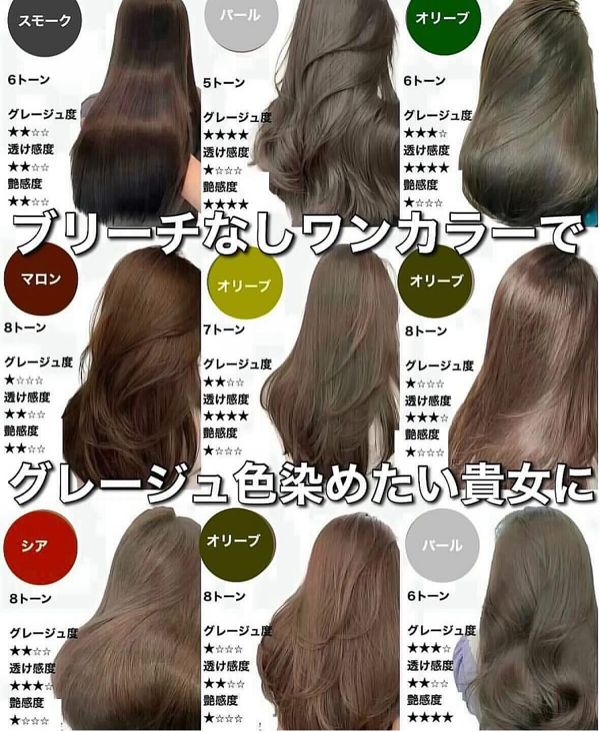 活動歴および当時の関連ビジュアル記録