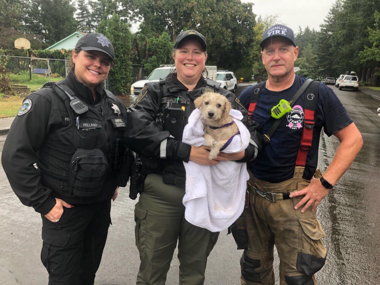 Last night a concerned... - Multnomah County Sheriff's Office