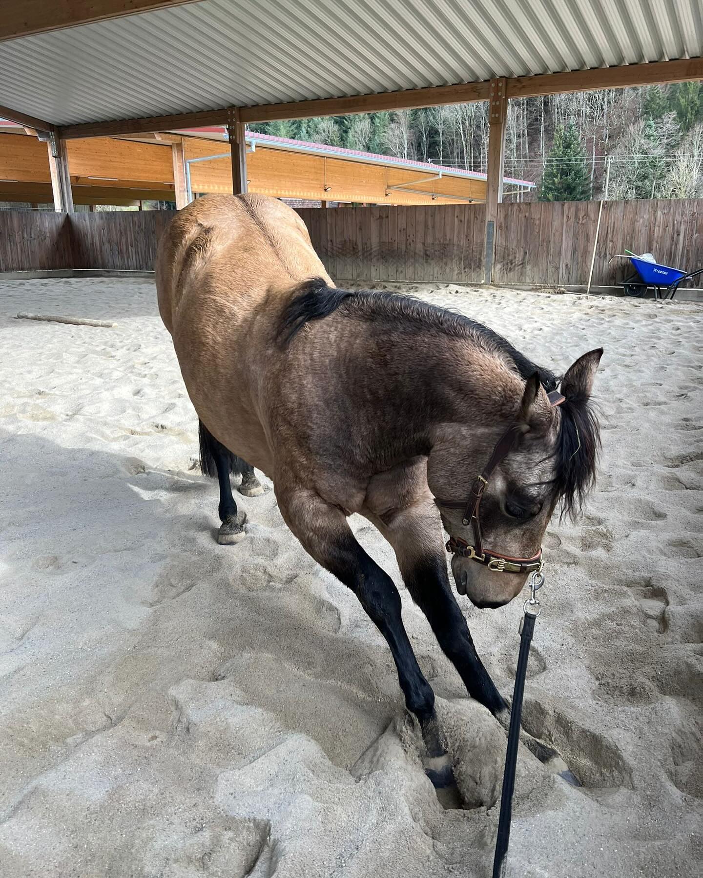 Cooper Ranch | Untersimonswald