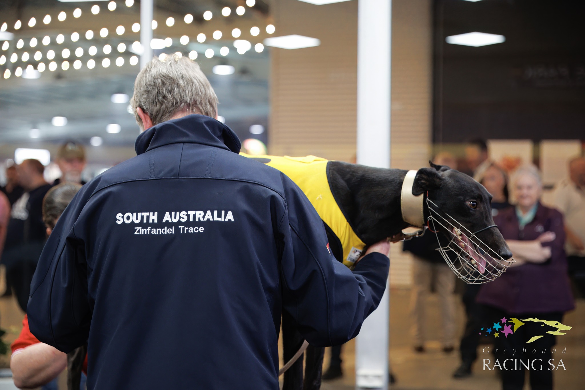 Greyhound Racing South Australia