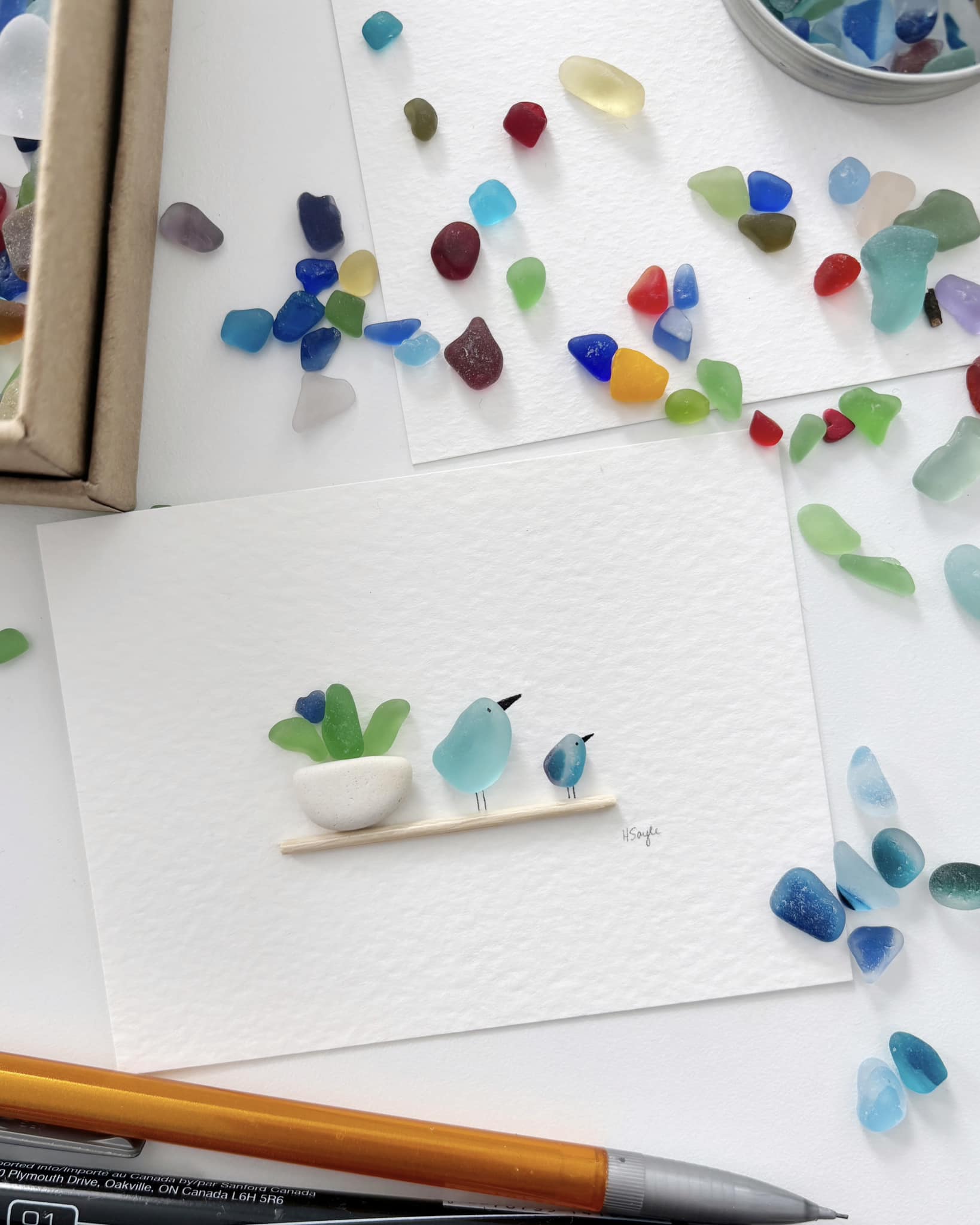 Apricity Designs