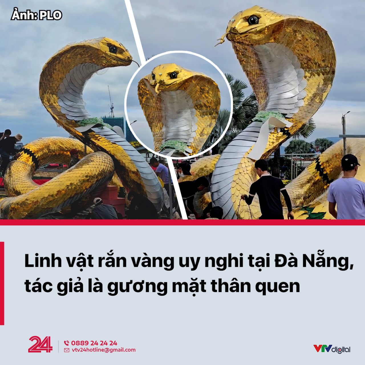 VTV24 - Hôm nay (14/1), bức tượng rắn vàng óng ánh đã xuất... | Facebook