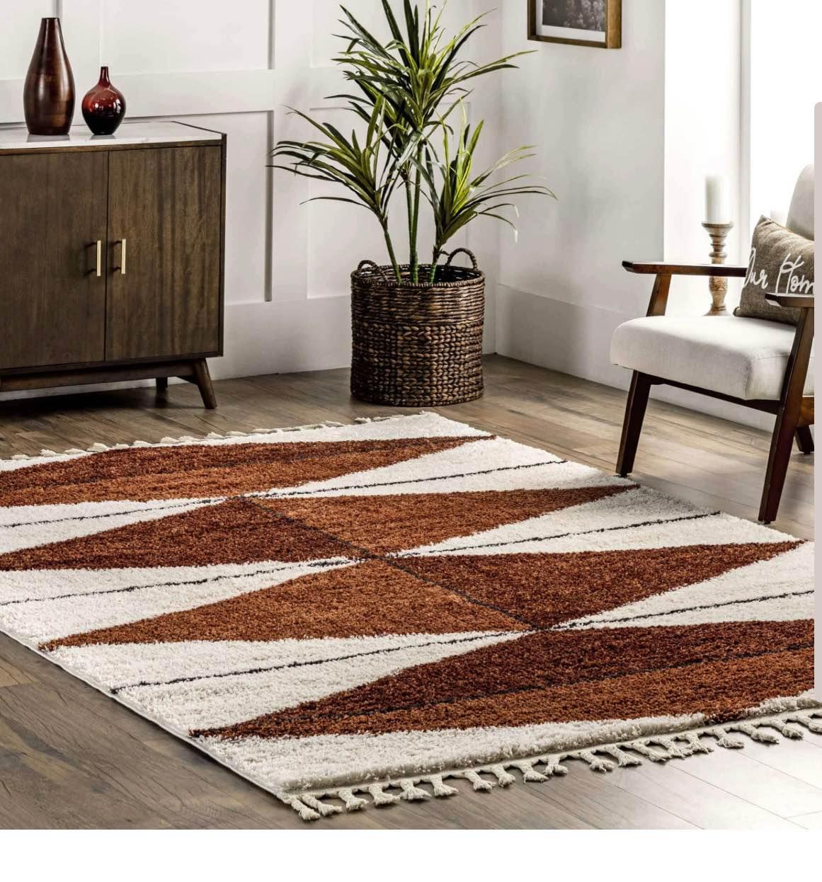 Area Rug - machine washable - Area Rugs | Facebook Marketplace | Facebook