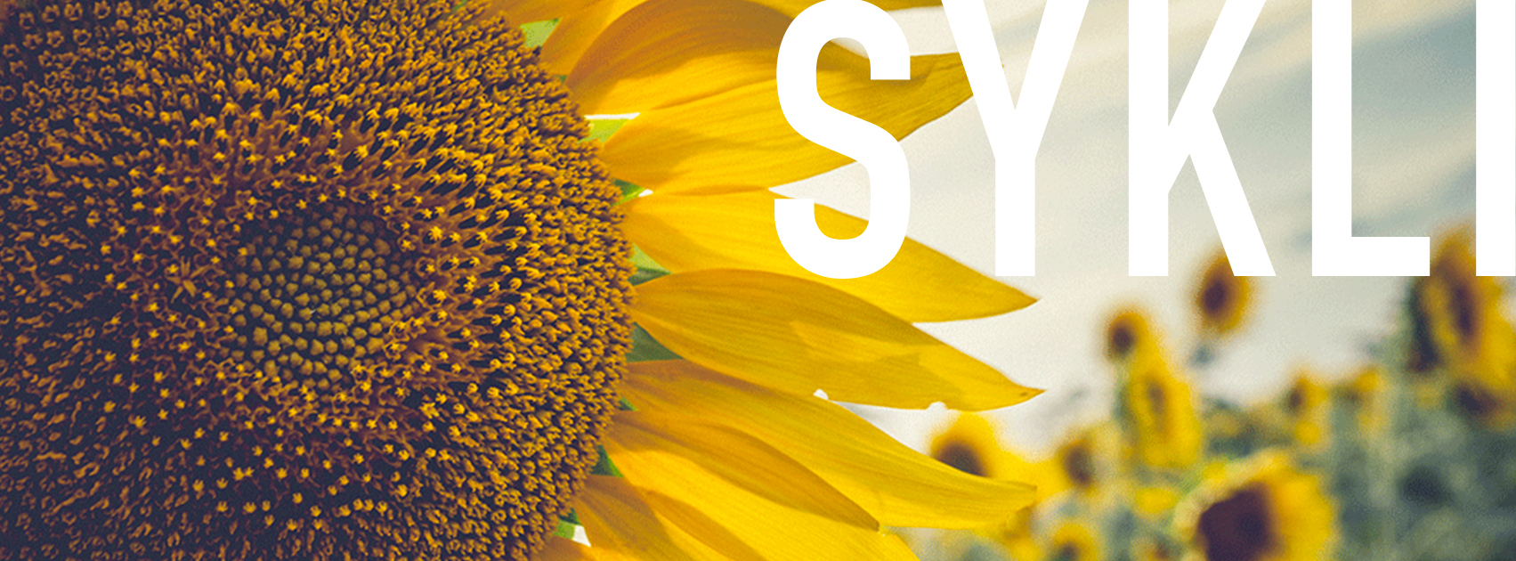 Suomen ympäristöopisto SYKLI | Helsinki
