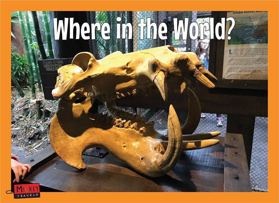 MickeyTravels - 🌎 Where in the World Wednesday 🌎 # ...