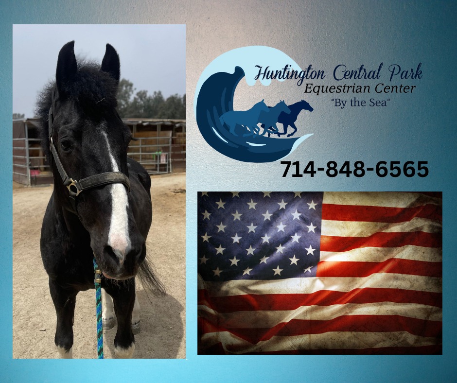 Huntington Central Park Equestrian Center | Huntington Beach CA