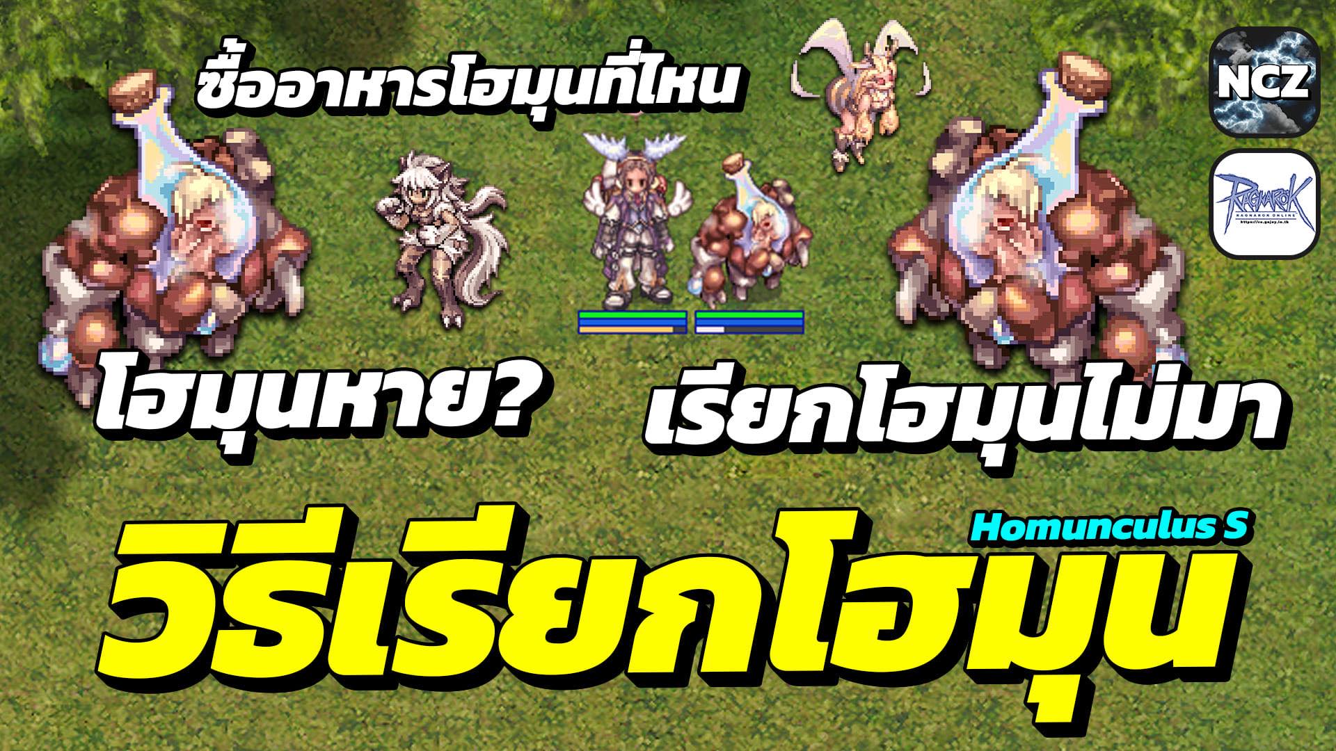 NCZ - 🎯วิธีกดสกิลเรียก Homunculus โฮมุนหาย เรียกโฮมุนไม่มา ซื้ออาหารโฮม ...