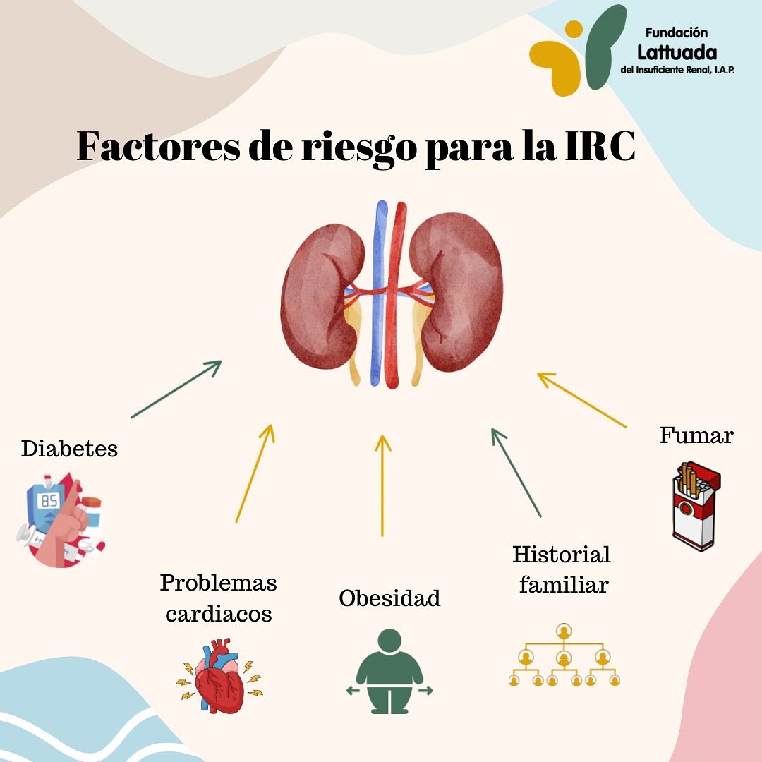 Te... - Fundacion Lattuada Del Insuficiente Renal, I.A.P | Facebook