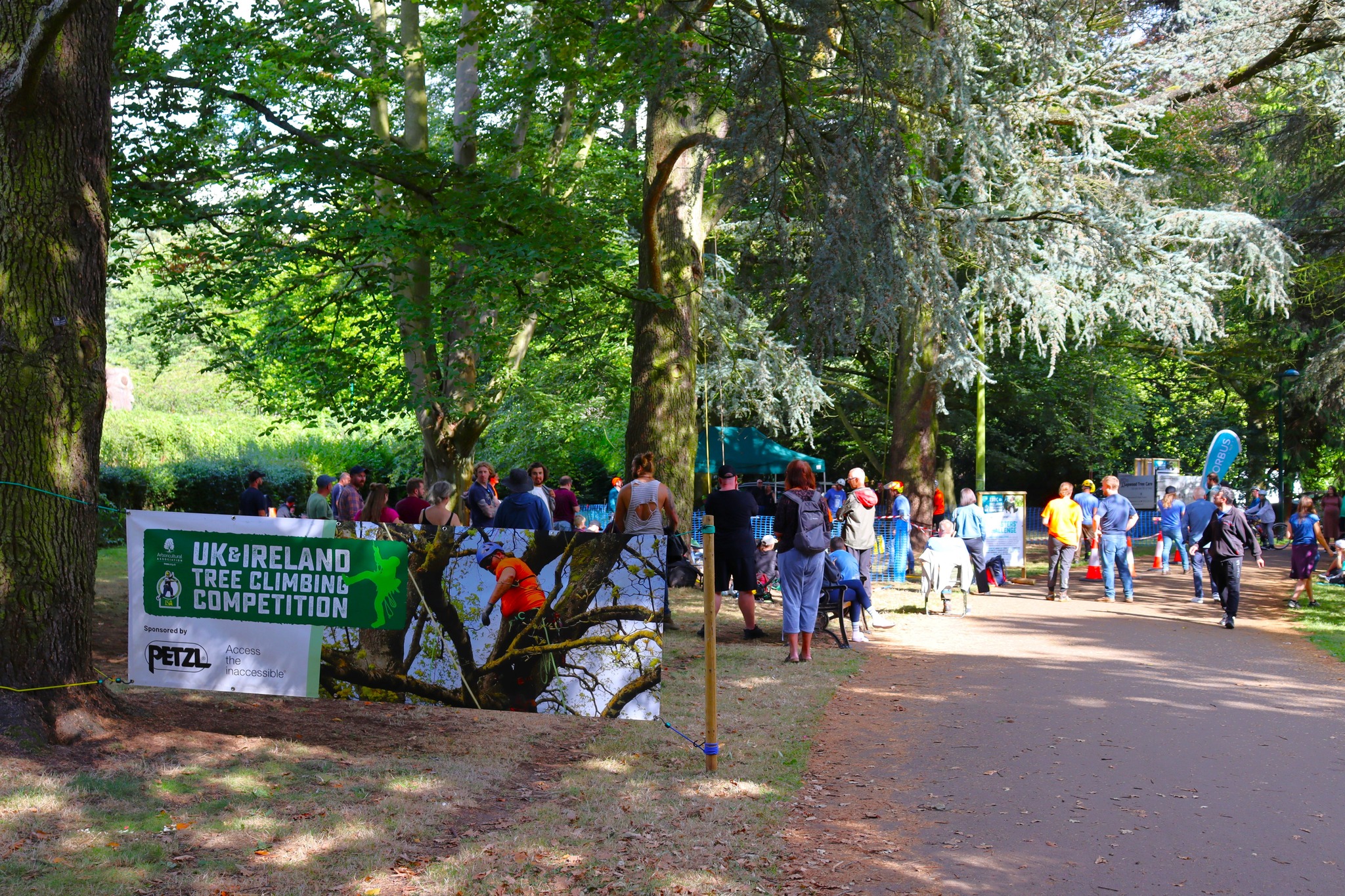 UK & Ireland Tree Climbing Competitions