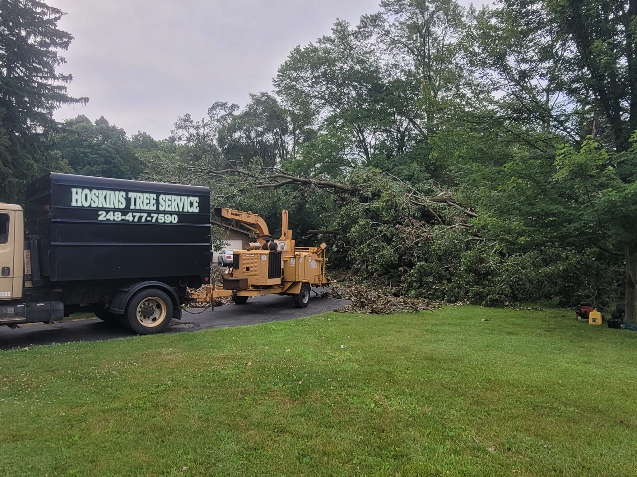Hoskins Tree Service Inc. | Farmington Hills MI