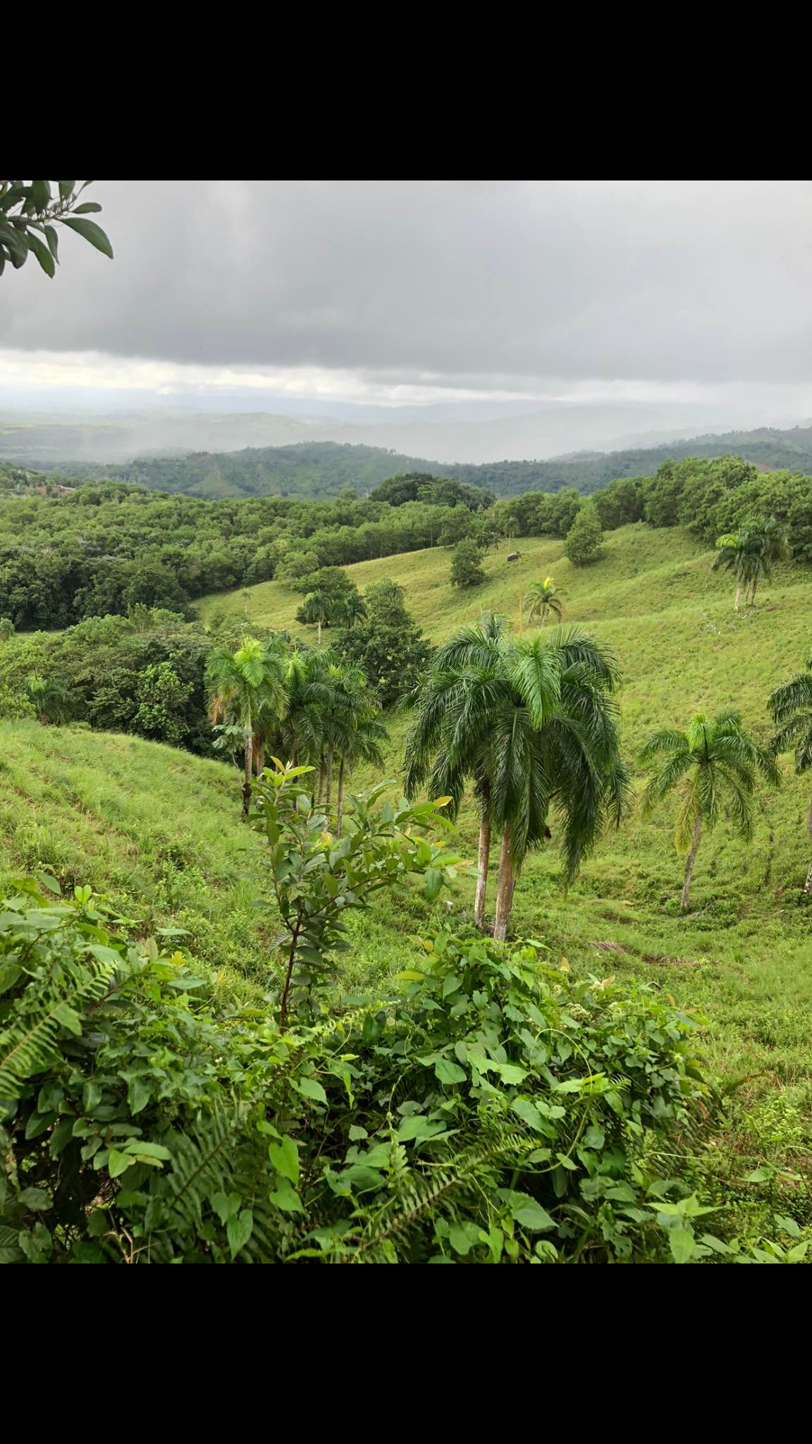 Finca - Property For Sale - Río San Juan, Maria Trinidad Sanchez ...