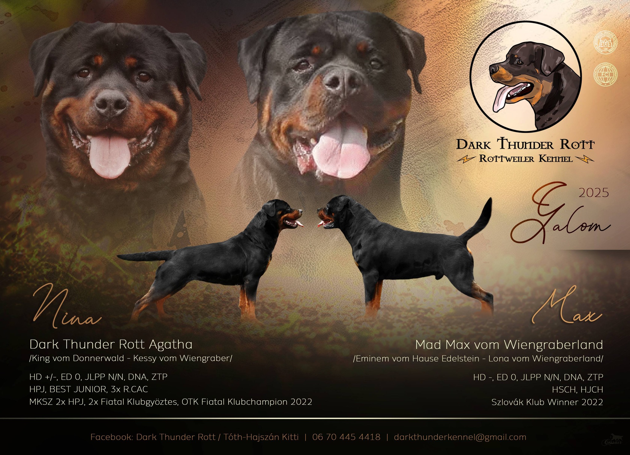 Dark Thunder Rott