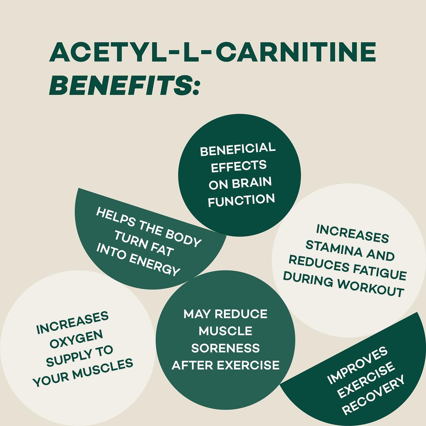 The benefits of Acetyl-L-Carnitine: 🌱Helps the body turn fat into energy 🌱Beneficial effects on brain function 🌱Increases stamina and reduces fatigue during workout 🌱Increases oxygen supply to your muscles 🌱May reduce muscle