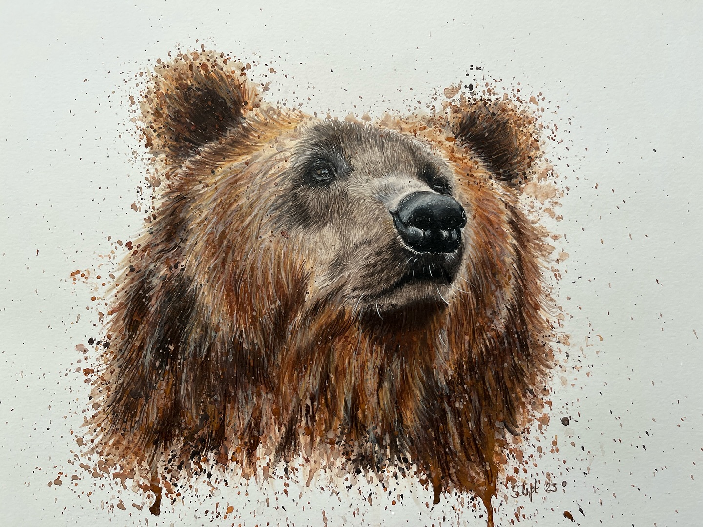 Please look after this bear, and all bears ? #WorldBearDay