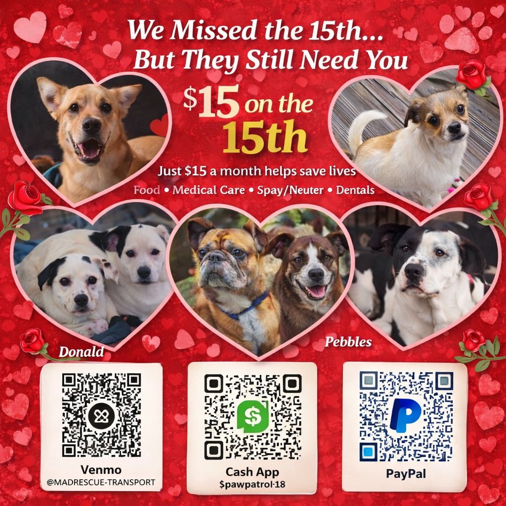 M A - We missed the 15th… but rescue doesn’t run on a perfect schedule ...