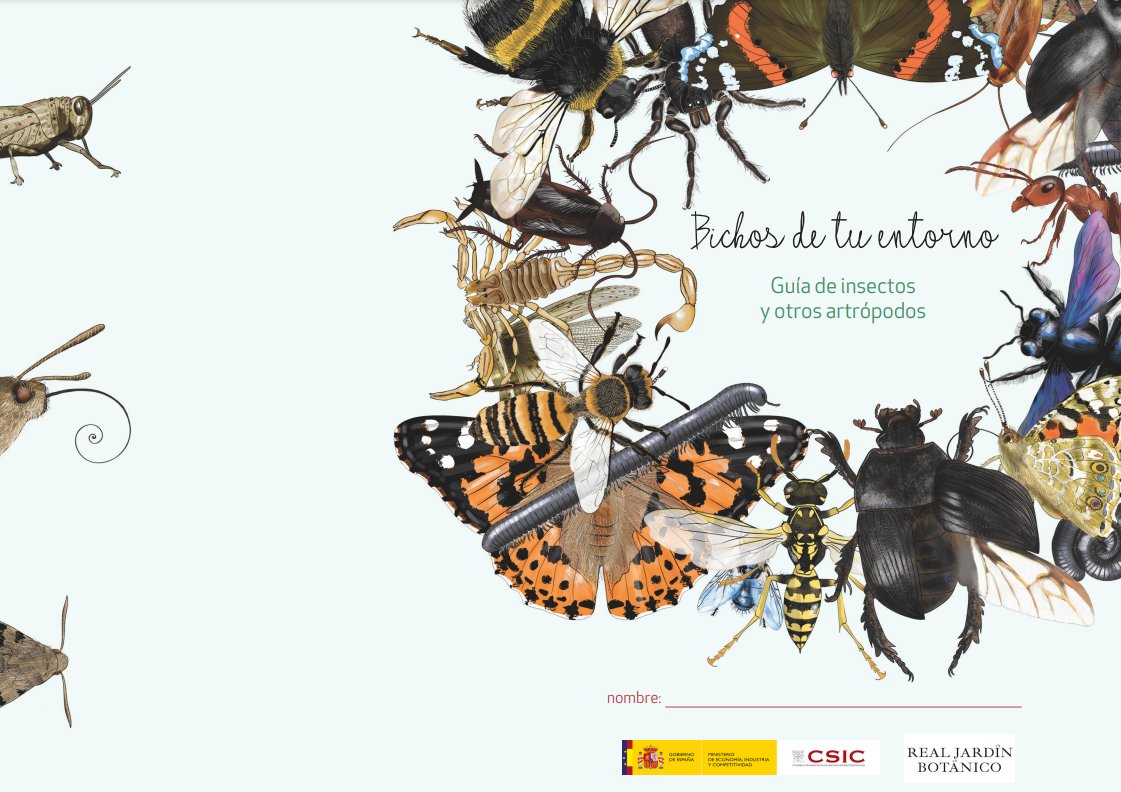 🐞🦗🔍Ahora que es verano podrás investigar todos los insectos que que te ...