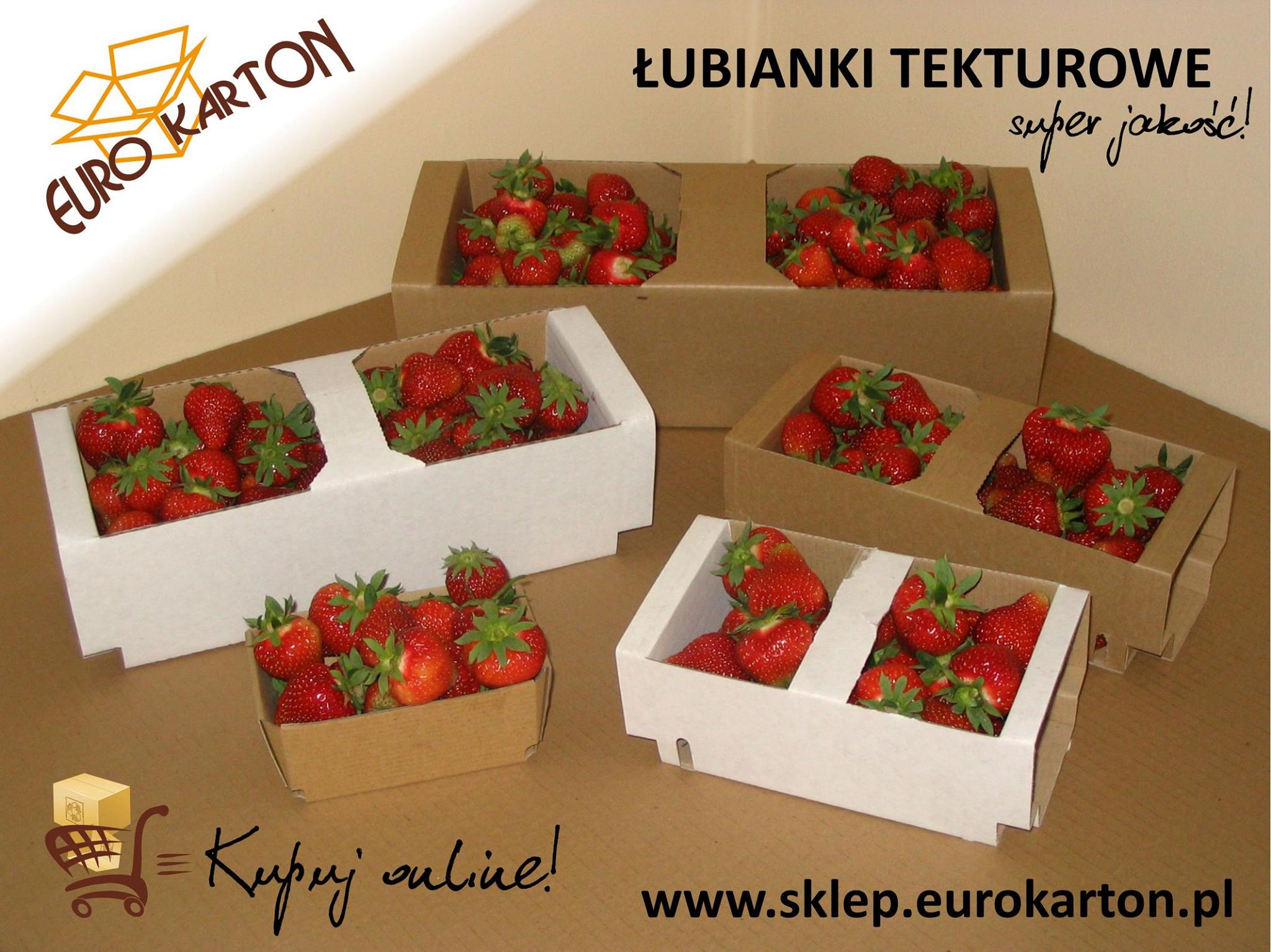 euro-karton-zak-ad-produkcji-opakowa-tekturowych-ubianki