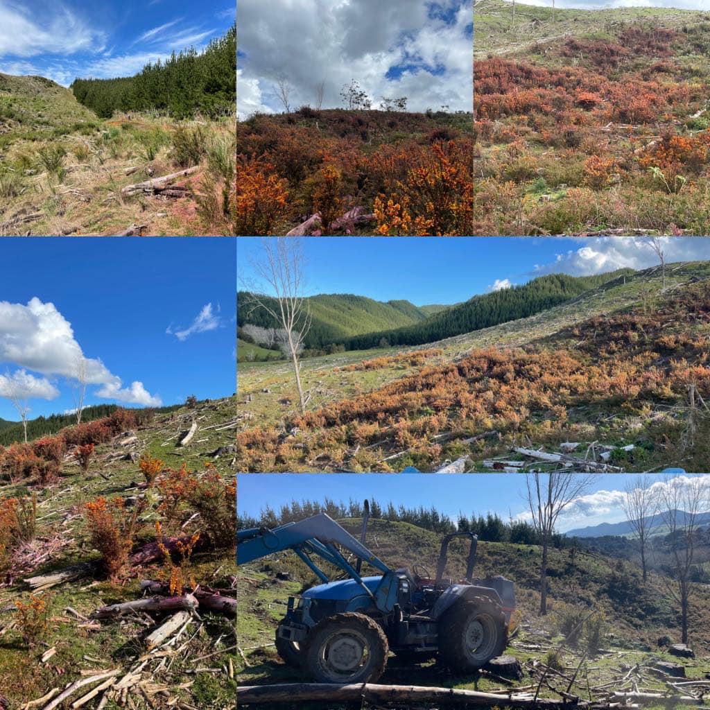Rural Contracting Limited | Northland