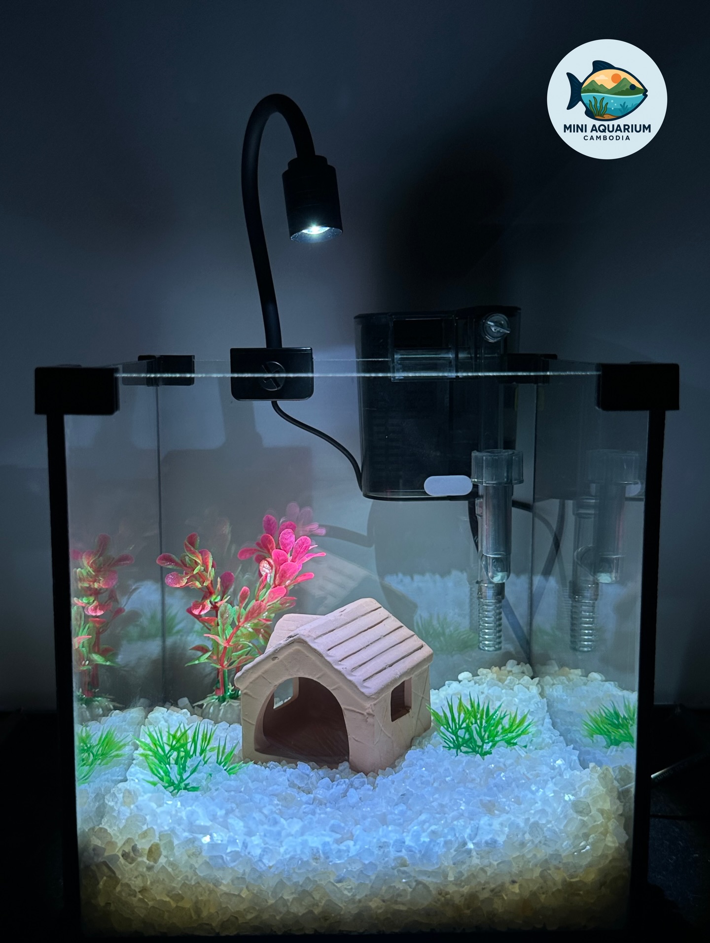 Thumbnail for Mini Aquarium Spiritual Reviews