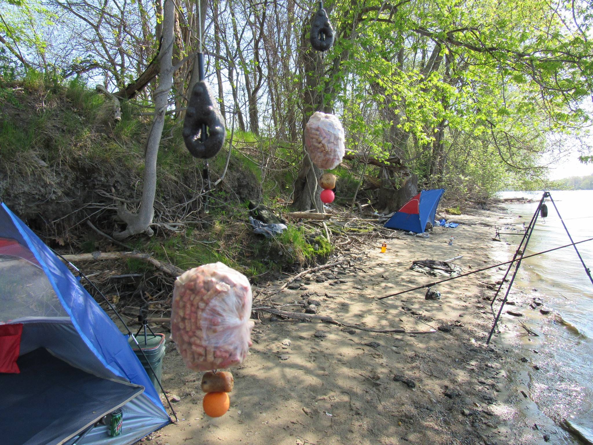 Sistema PVA Mesh Castaway – Retine Per Esche, Pesca A Fiume E Carpa, Tutte Le Misure, Confezione Singola