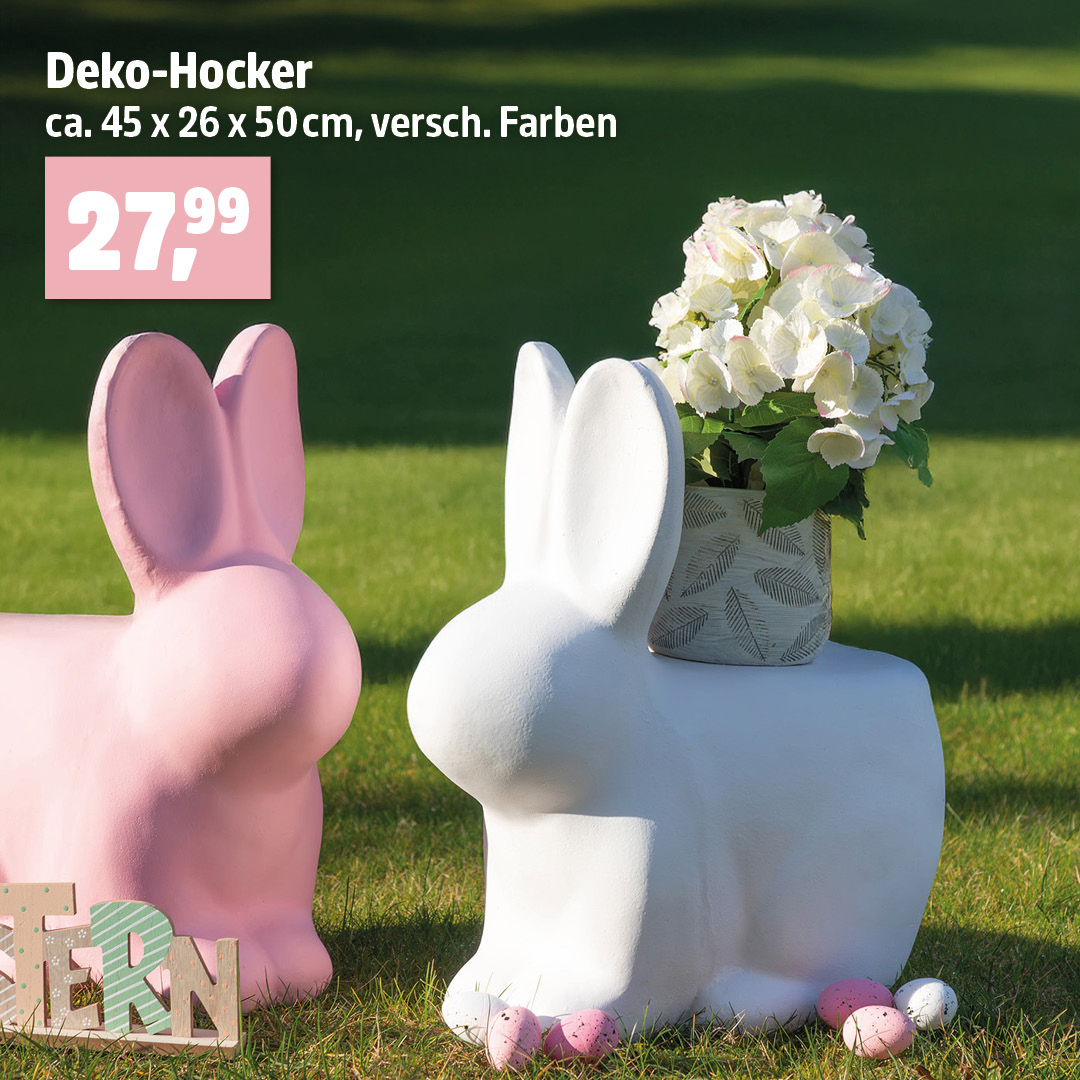 Pflanzenhocker mal anders.. 🐇 Dieser Osterhase dient als Erhöhung für Pflanzen oder einfach als kleines Höckerchen im Eingangsbereich oder vor der Haustür. 🌸 Jetzt in versch. Farben in unseren Märkten entdecken. # thomasphilipps #